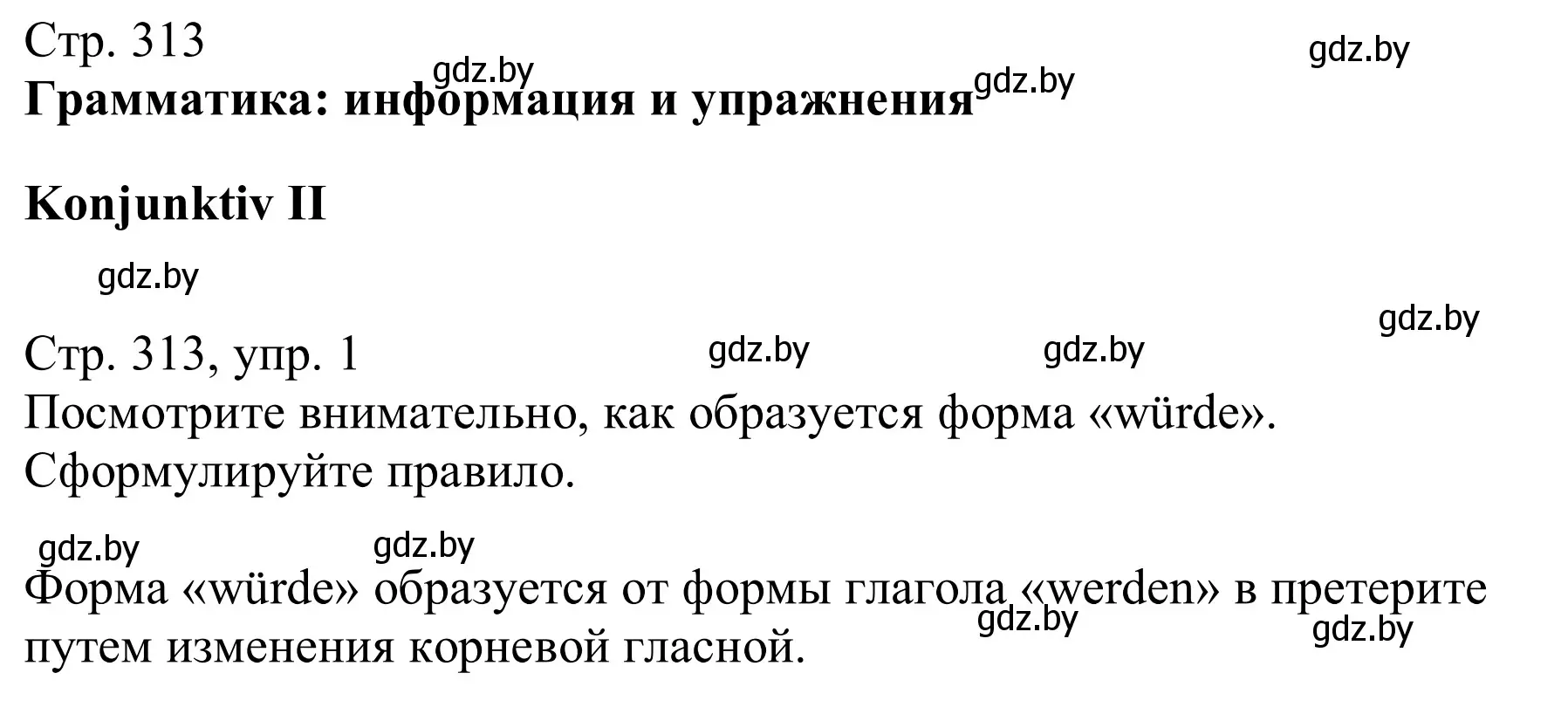 Решение номер 1 (страница 313) гдз по немецкому языку 11 класс Будько, Урбанович, учебник