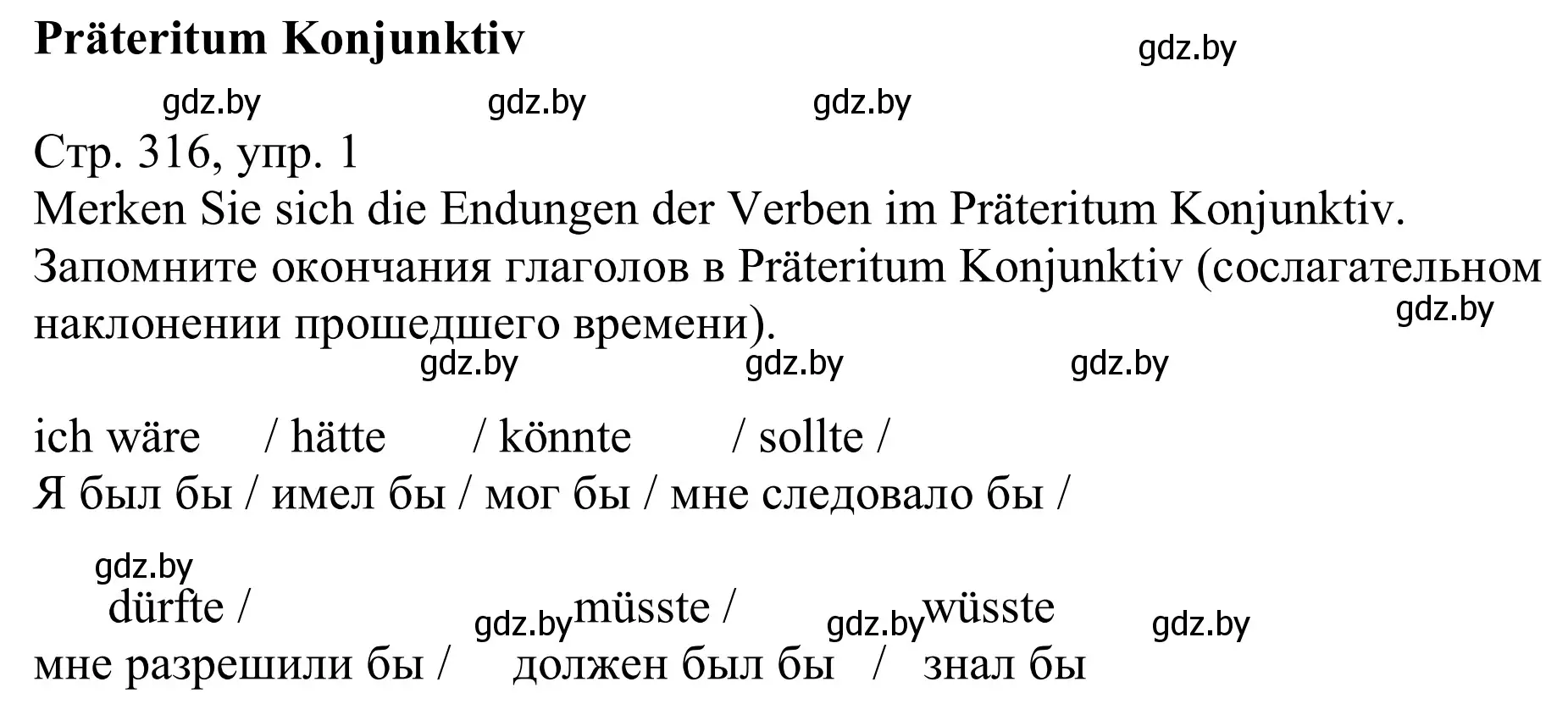 Решение номер 1 (страница 316) гдз по немецкому языку 11 класс Будько, Урбанович, учебник