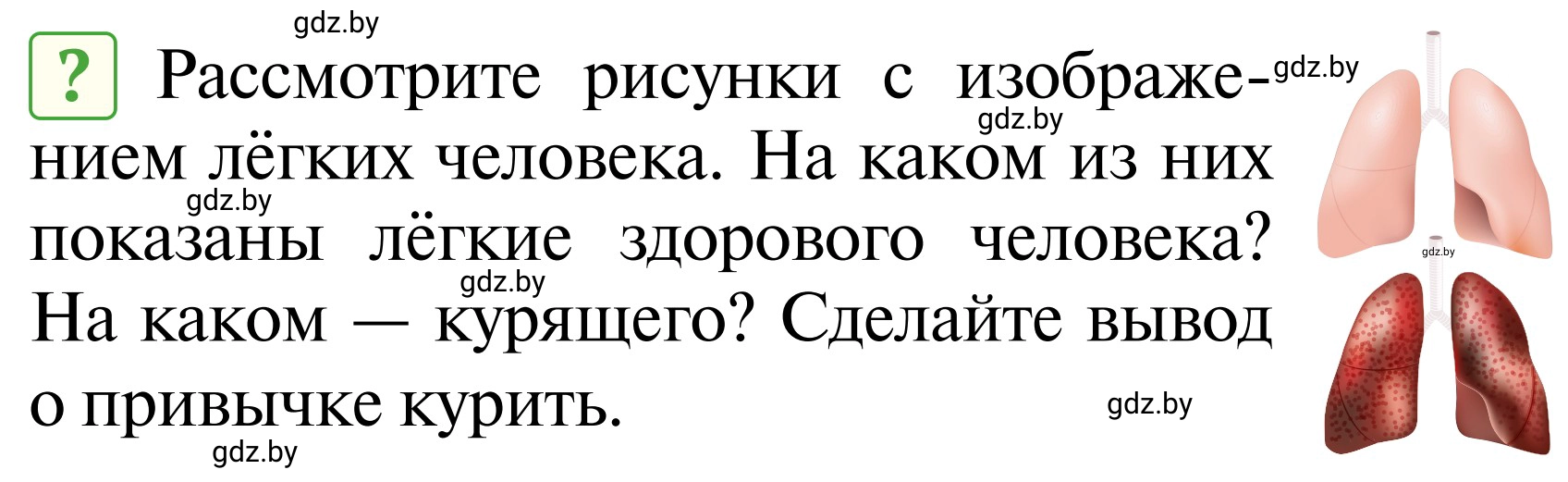 Условие  Вопросы и задания (страница 133) гдз по ОБЖ 2 класс Аброськина, Кузнецова, учебник