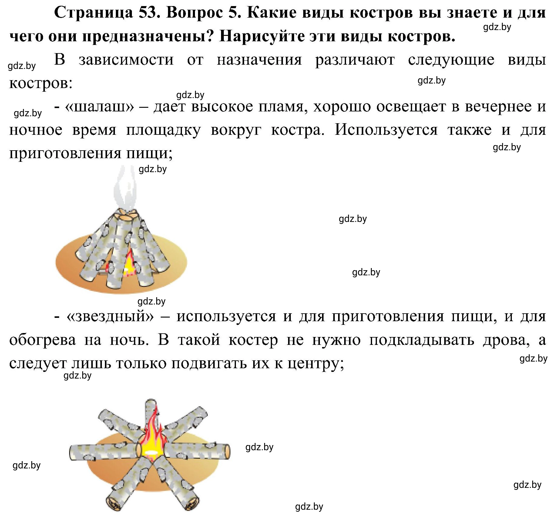 Решение номер 5 (страница 53) гдз по ОБЖ 7 класс Мишкевич, учебник