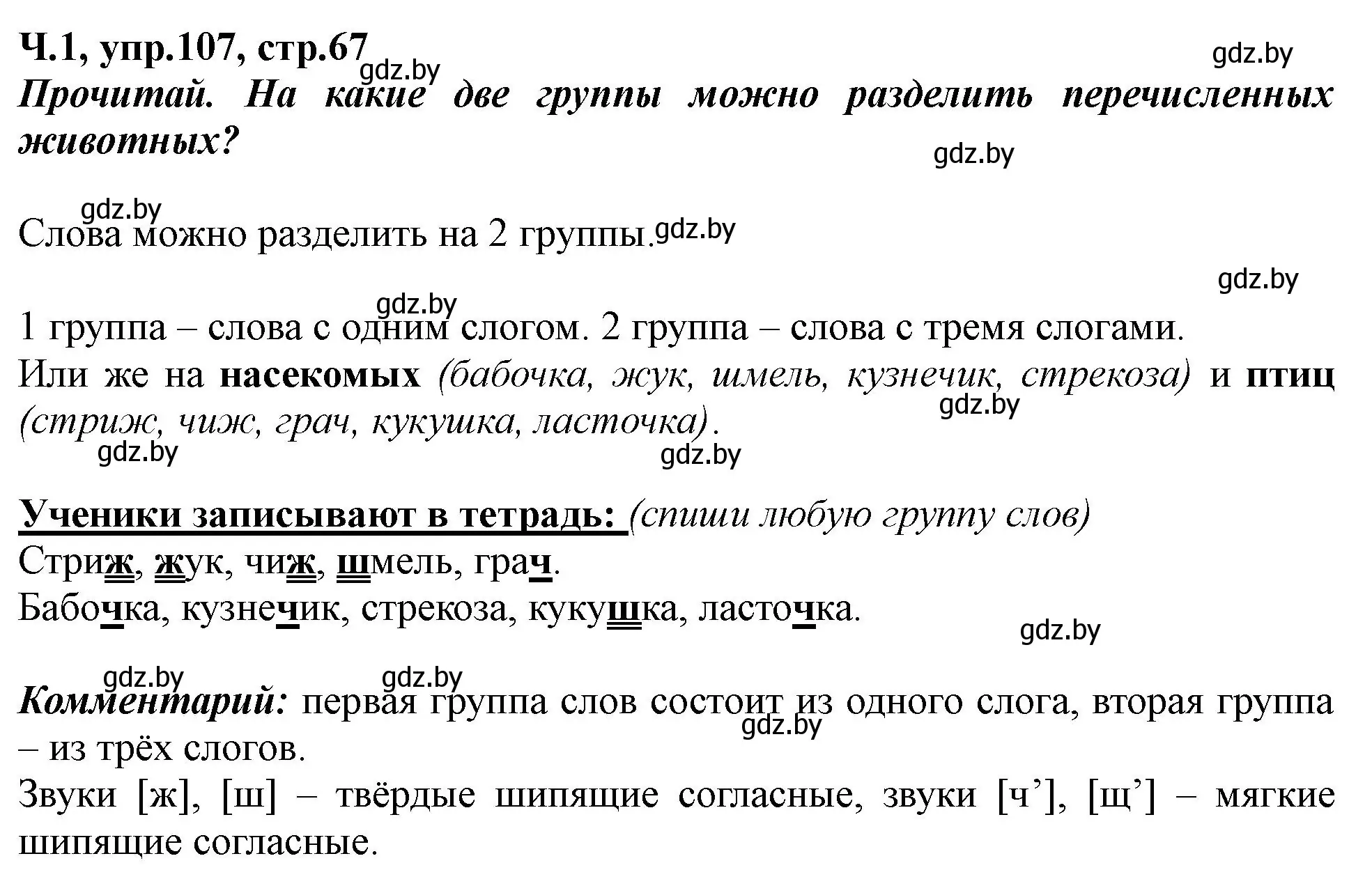 Решение номер 107 (страница 67) гдз по русскому языку 2 класс Гулецкая, Федорович, учебник 1 часть