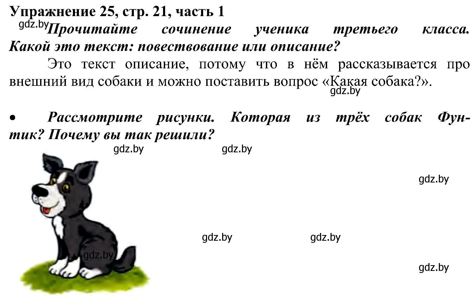 Решение номер 25 (страница 21) гдз по русскому языку 3 класс Антипова, Верниковская, учебник 1 часть