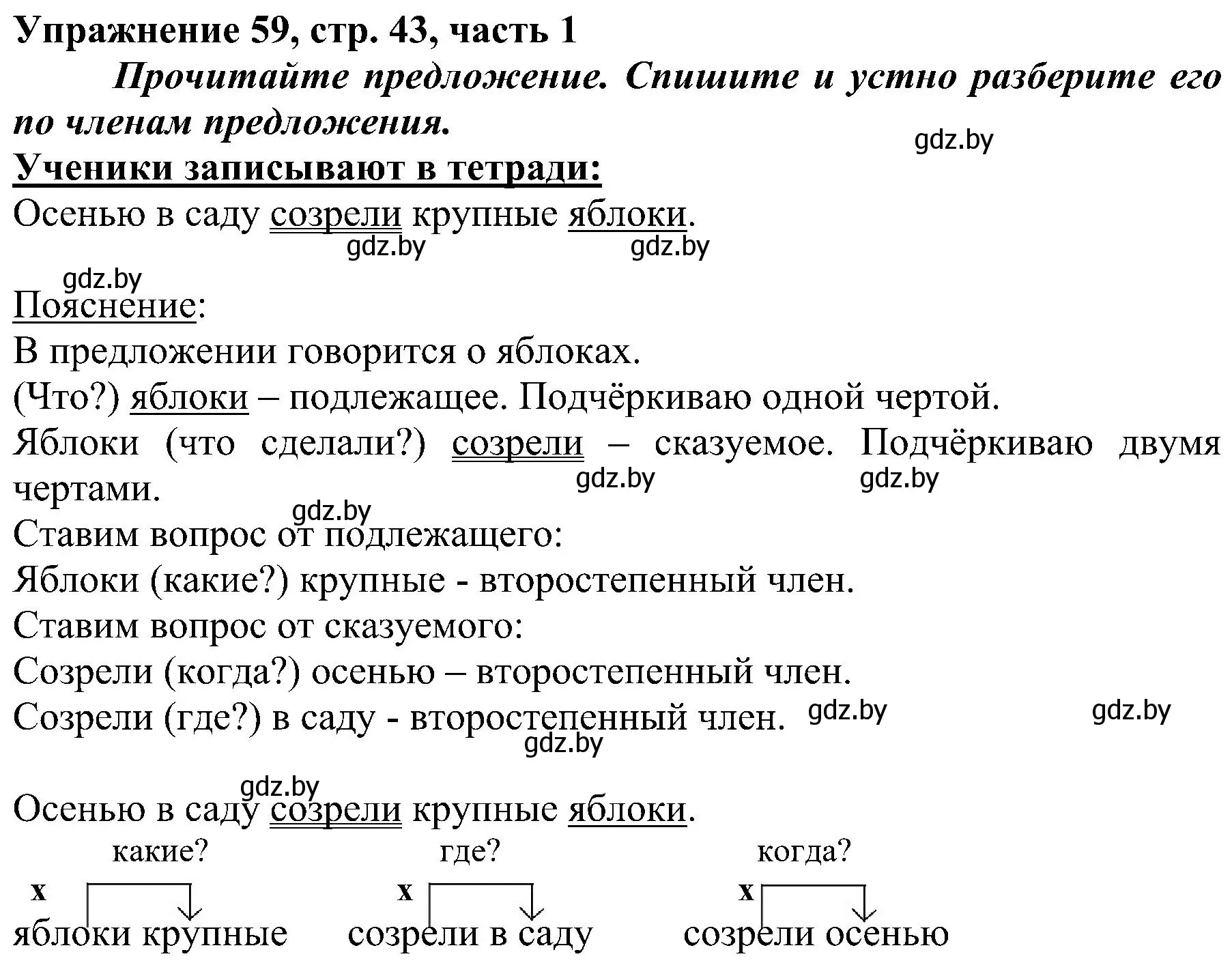 Решение номер 59 (страница 43) гдз по русскому языку 3 класс Антипова, Верниковская, учебник 1 часть