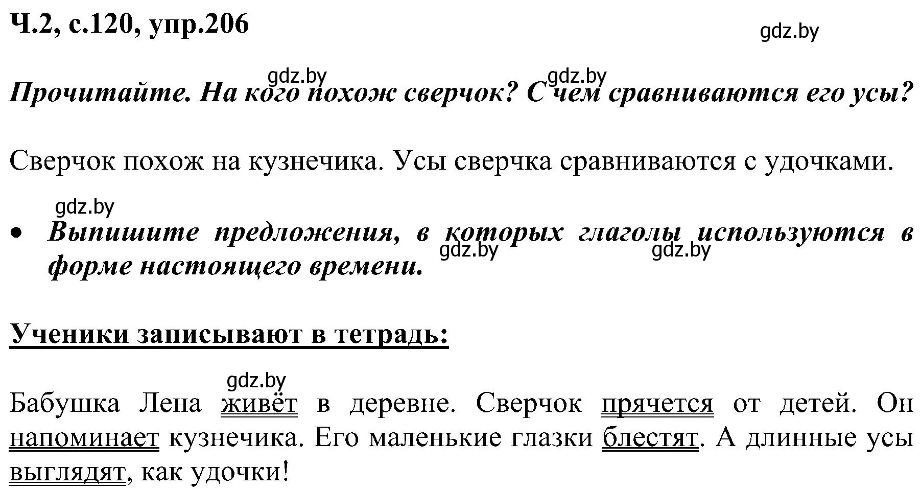 Решение номер 206 (страница 120) гдз по русскому языку 3 класс Антипова, Верниковская, учебник 2 часть