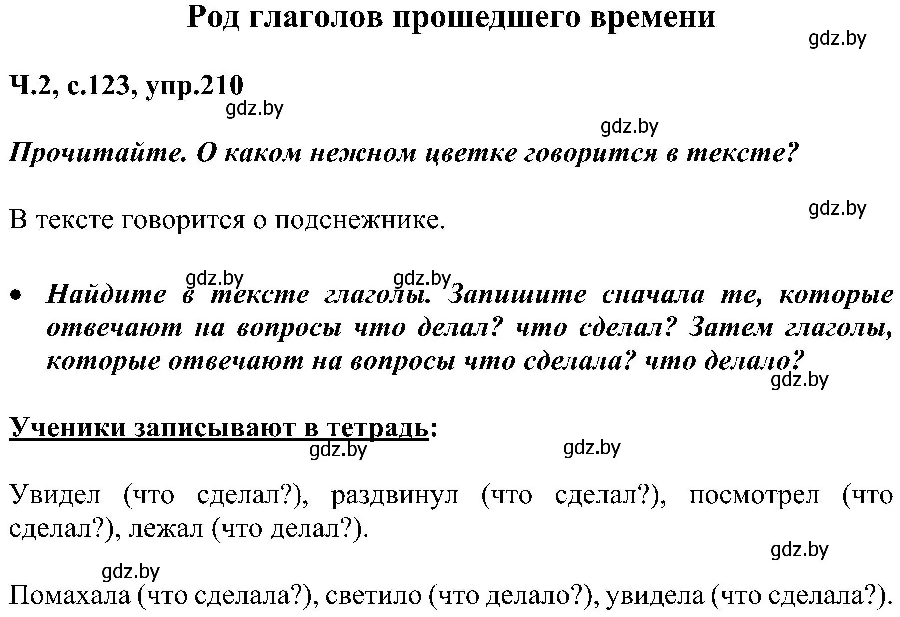 Решение номер 210 (страница 123) гдз по русскому языку 3 класс Антипова, Верниковская, учебник 2 часть