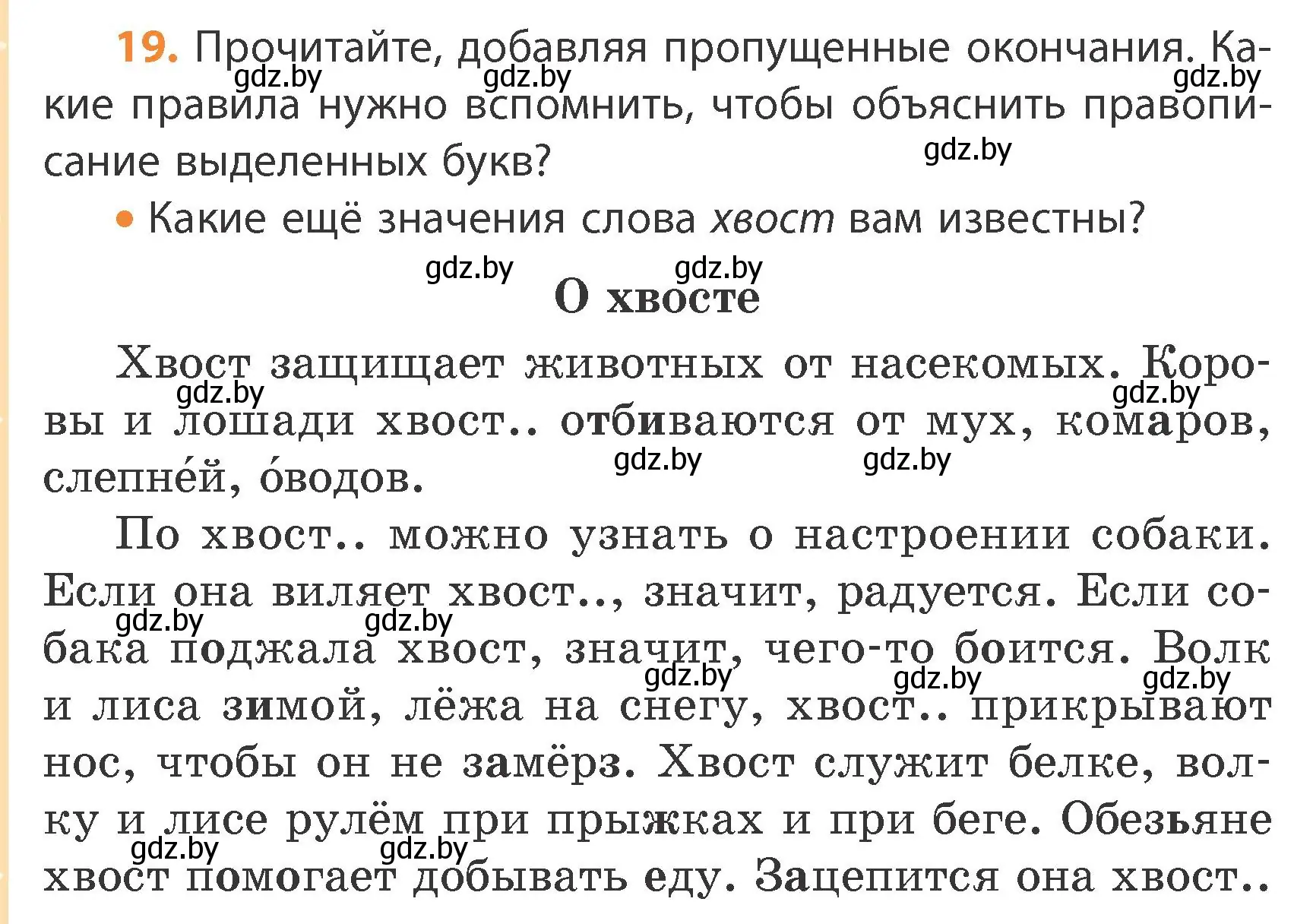 Условие номер 19 (страница 14) гдз по русскому языку 4 класс Антипова, Верниковская, учебник 1 часть