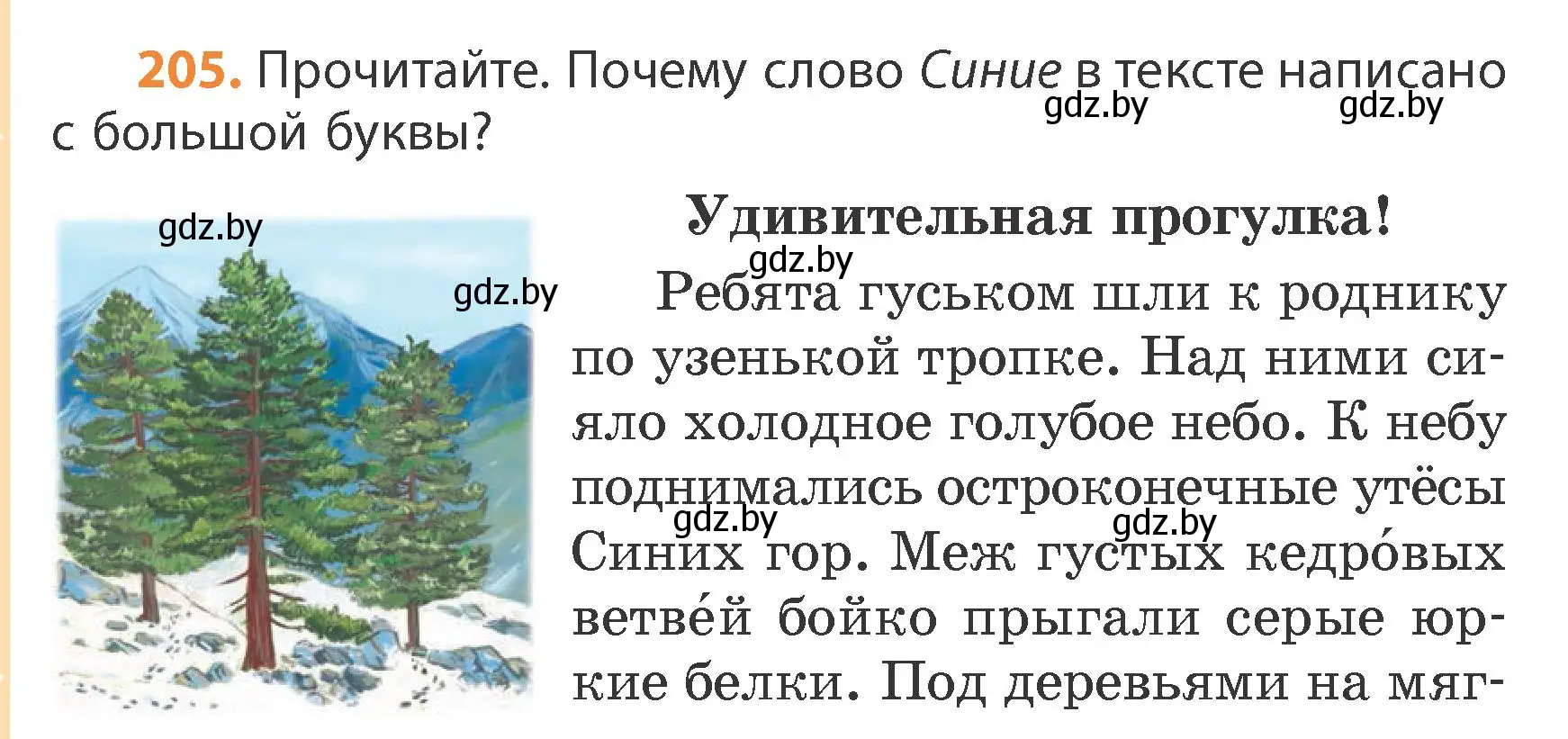 Условие номер 205 (страница 124) гдз по русскому языку 4 класс Антипова, Верниковская, учебник 1 часть