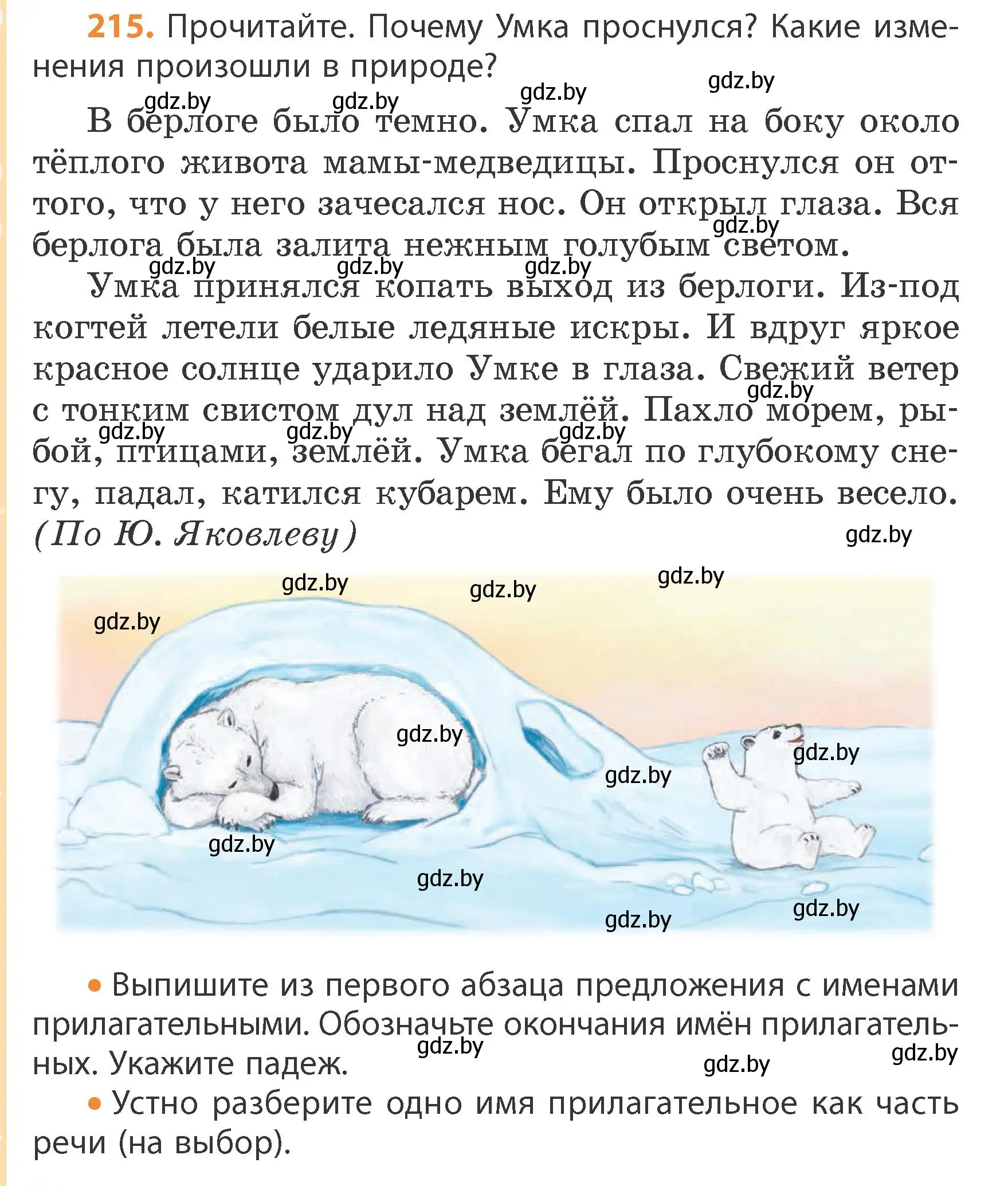 Условие номер 215 (страница 132) гдз по русскому языку 4 класс Антипова, Верниковская, учебник 1 часть