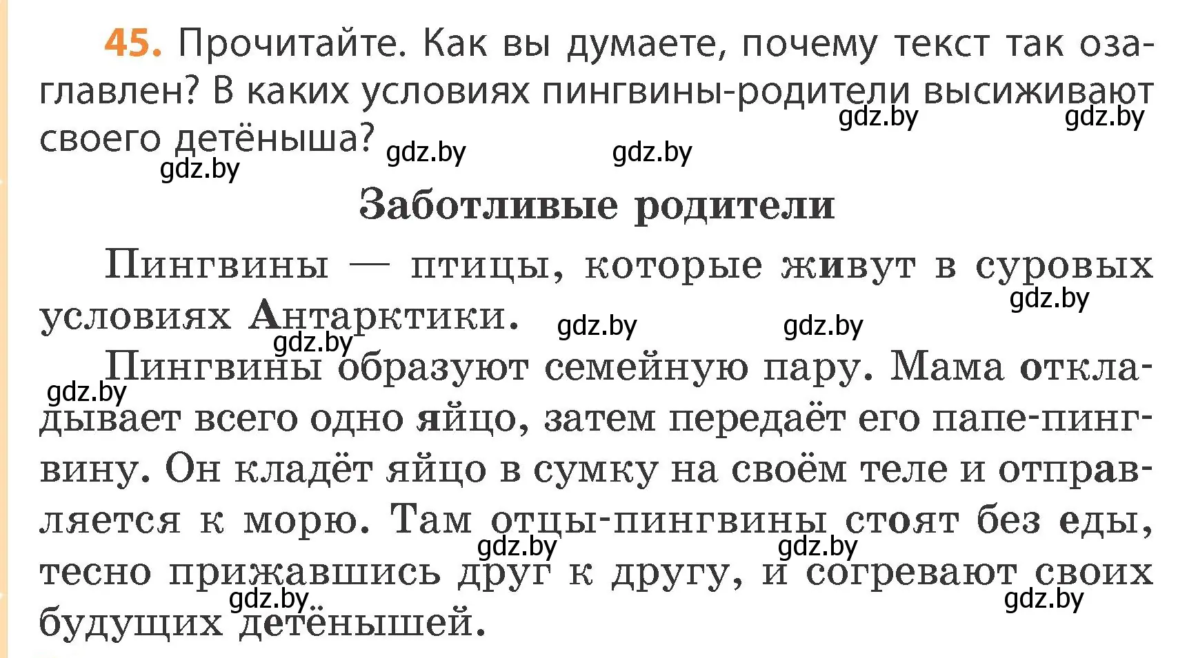 Условие номер 45 (страница 28) гдз по русскому языку 4 класс Антипова, Верниковская, учебник 1 часть