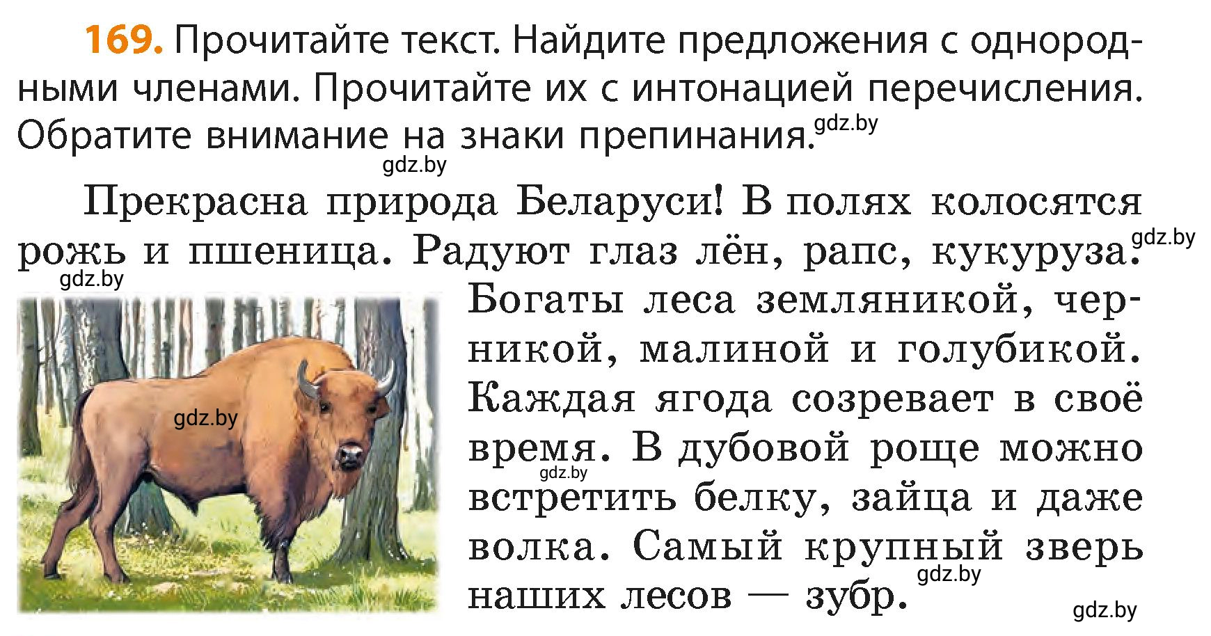 Условие номер 169 (страница 102) гдз по русскому языку 4 класс Антипова, Верниковская, учебник 2 часть