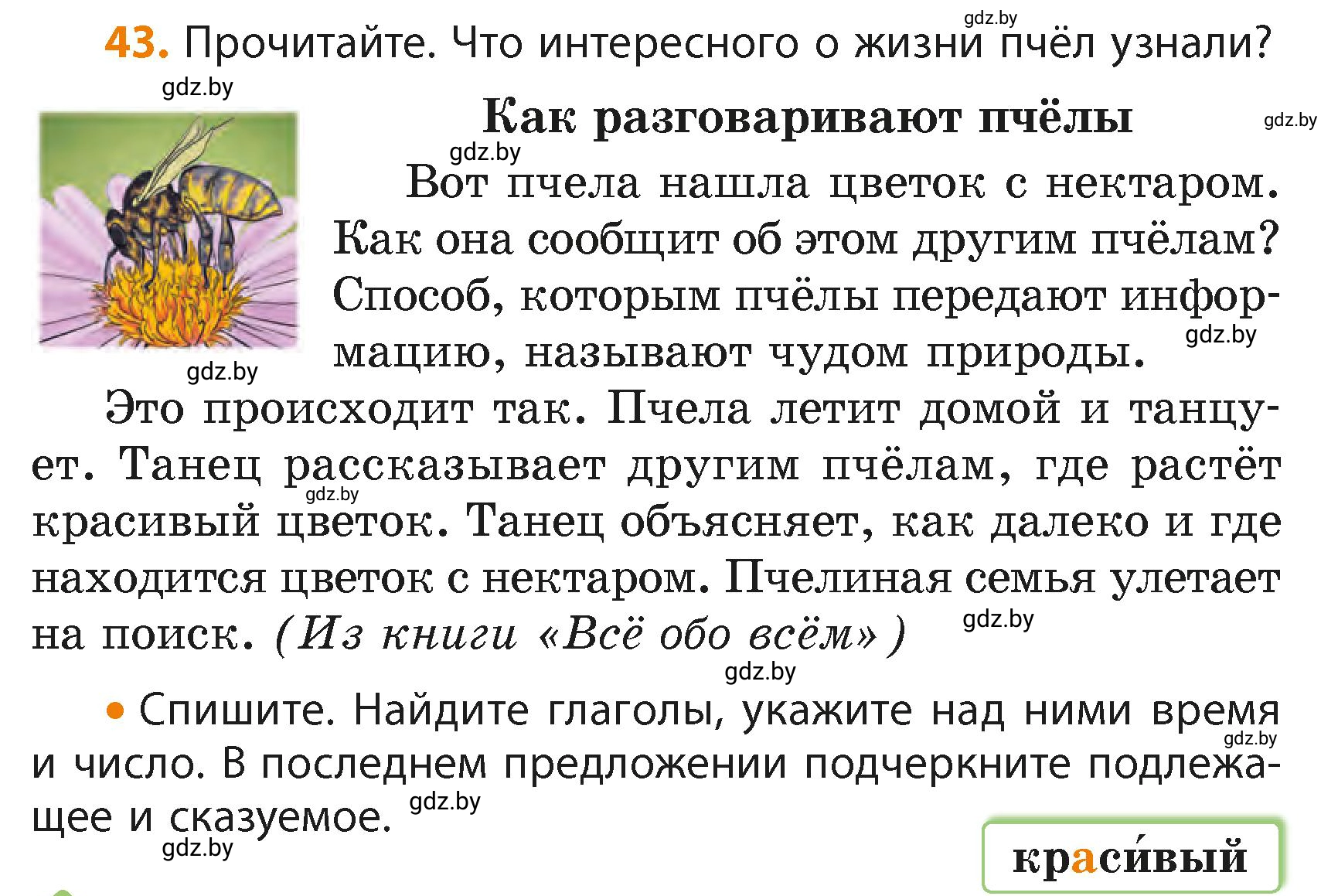 Условие номер 43 (страница 30) гдз по русскому языку 4 класс Антипова, Верниковская, учебник 2 часть