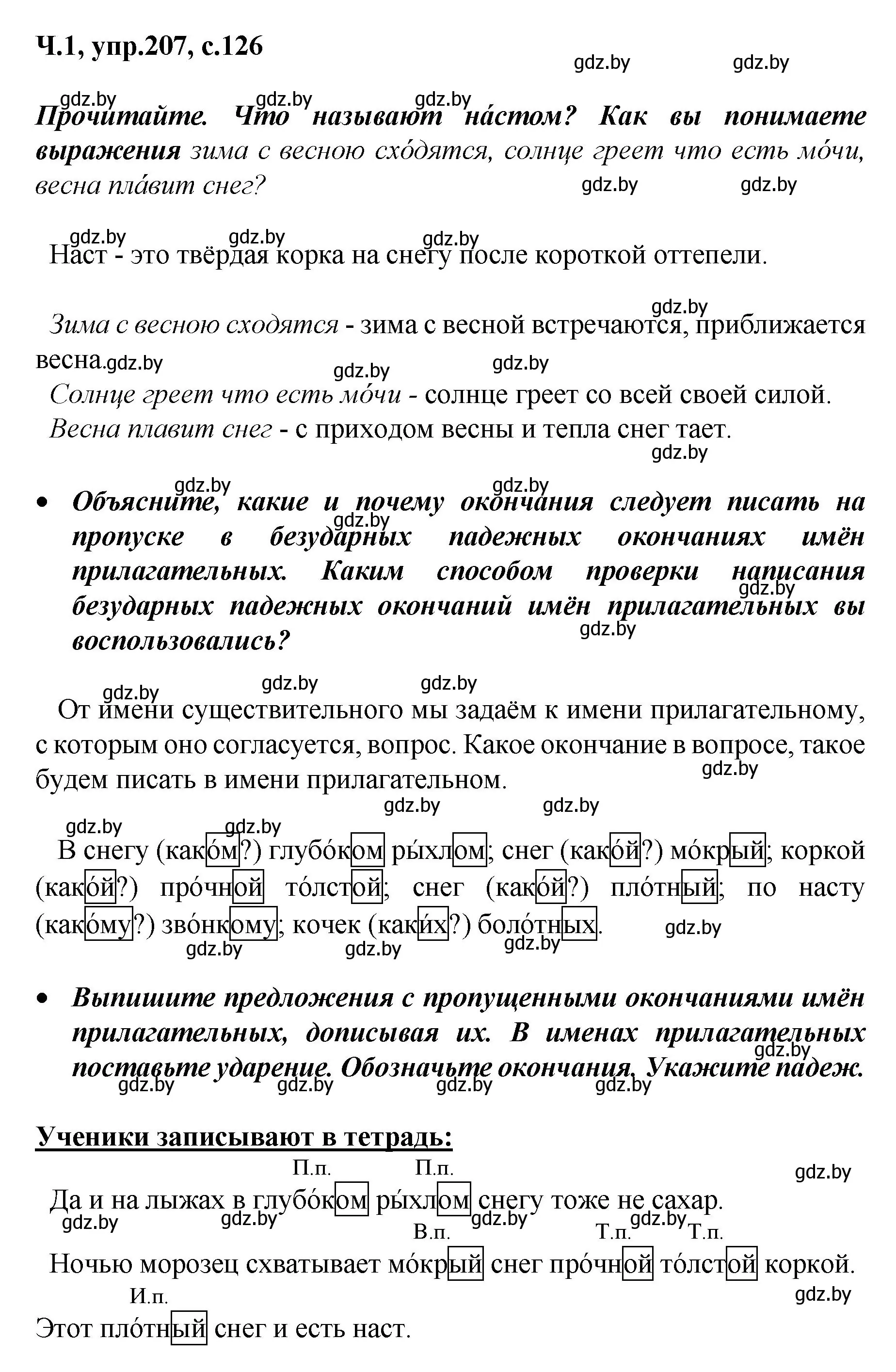 Решение номер 207 (страница 126) гдз по русскому языку 4 класс Антипова, Верниковская, учебник 1 часть