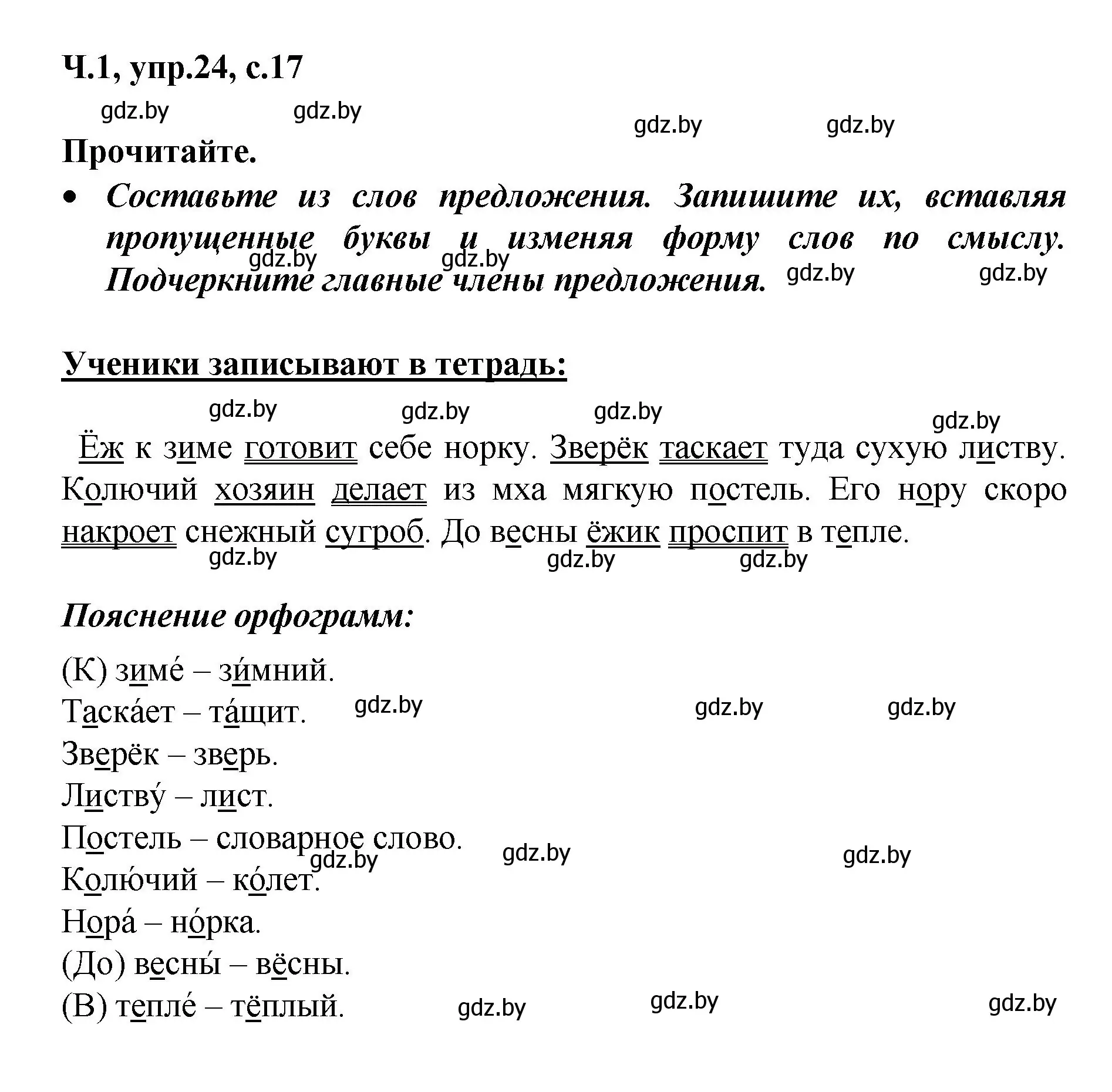 Решение номер 24 (страница 17) гдз по русскому языку 4 класс Антипова, Верниковская, учебник 1 часть