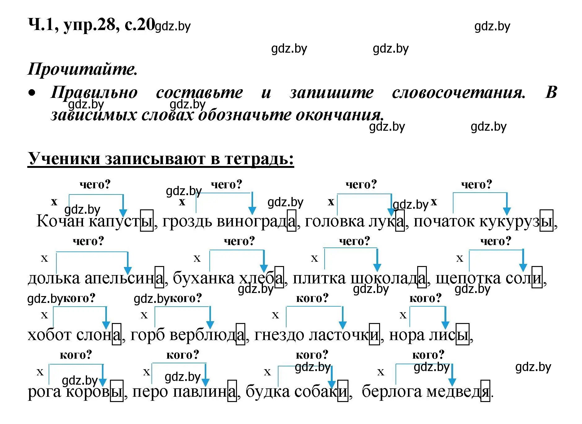 Решение номер 28 (страница 20) гдз по русскому языку 4 класс Антипова, Верниковская, учебник 1 часть