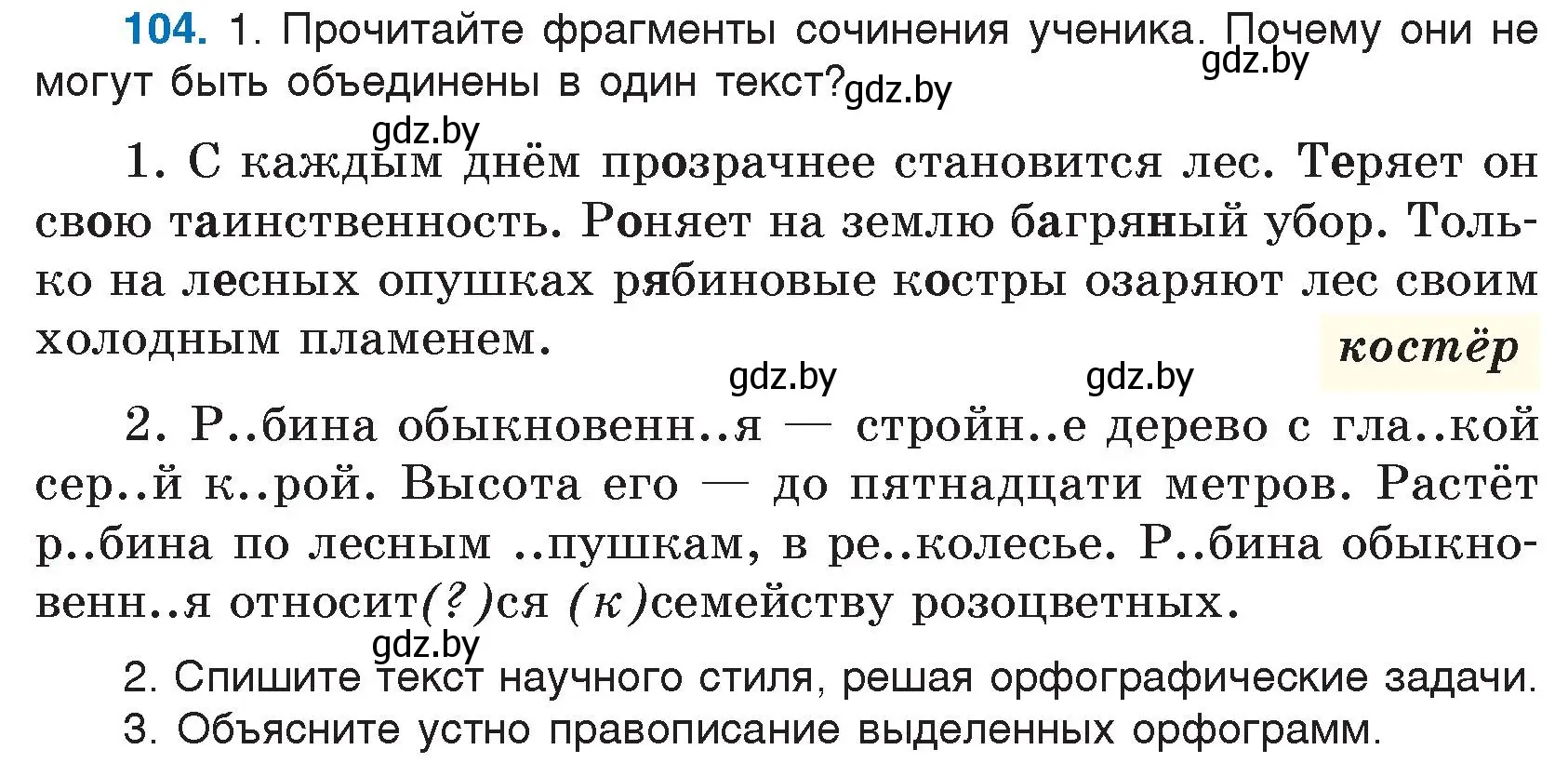 Условие номер 104 (страница 59) гдз по русскому языку 5 класс Мурина, Игнатович, учебник 1 часть