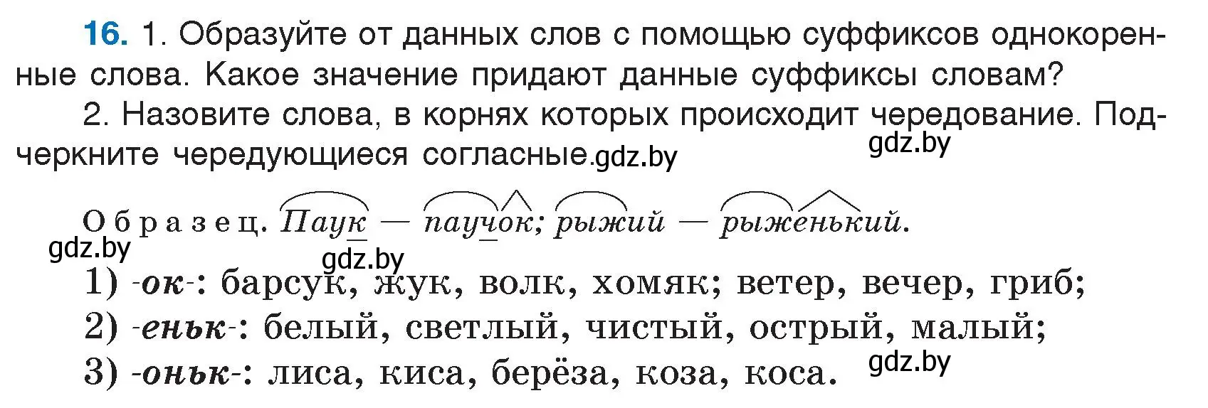 Условие номер 16 (страница 13) гдз по русскому языку 5 класс Мурина, Игнатович, учебник 1 часть