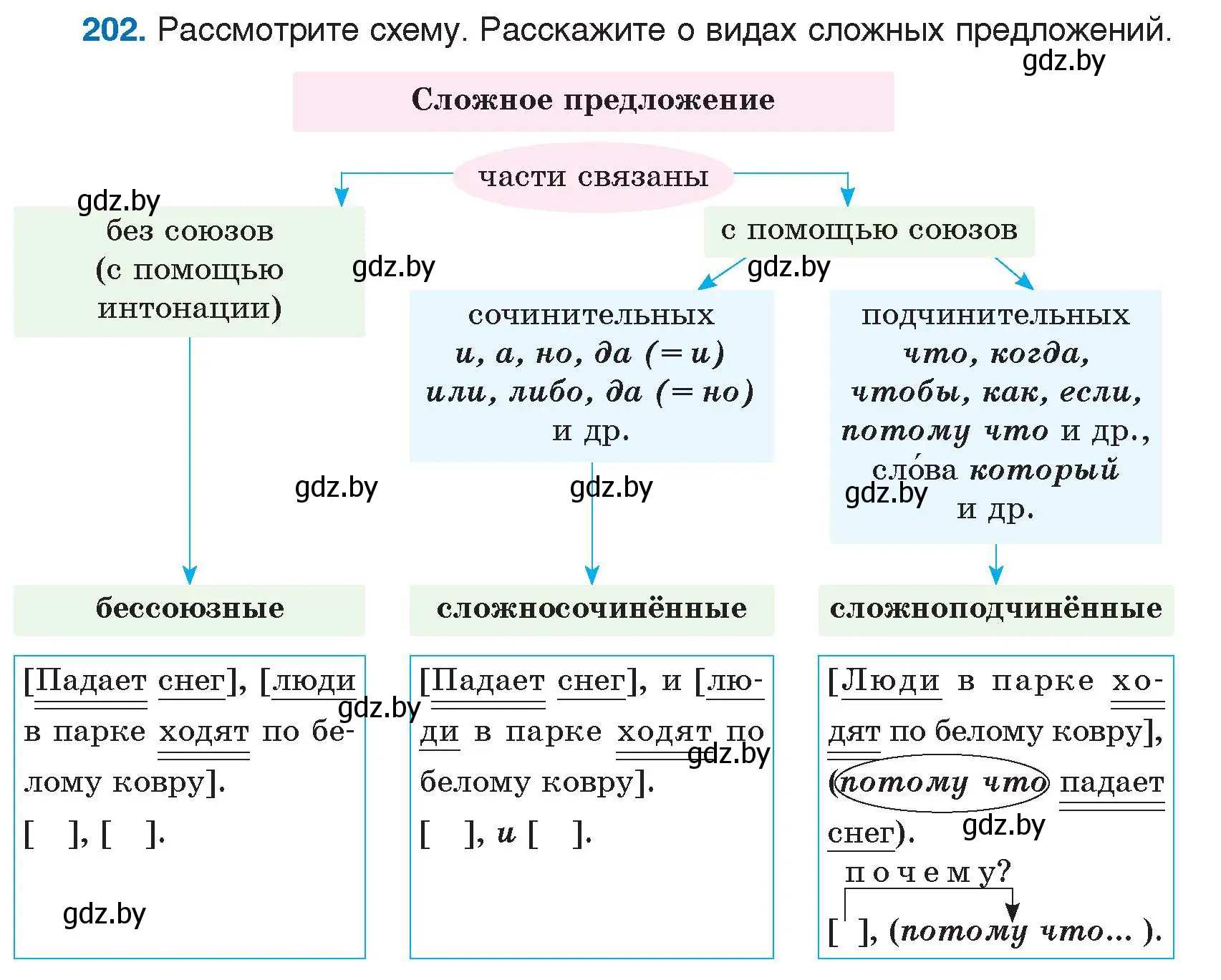 Условие номер 202 (страница 102) гдз по русскому языку 5 класс Мурина, Игнатович, учебник 1 часть