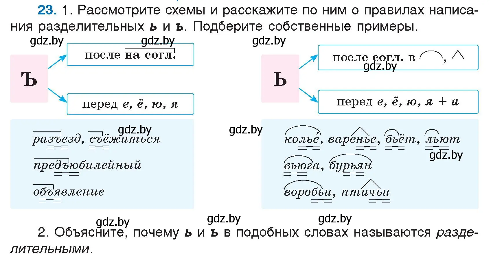 Условие номер 23 (страница 16) гдз по русскому языку 5 класс Мурина, Игнатович, учебник 1 часть