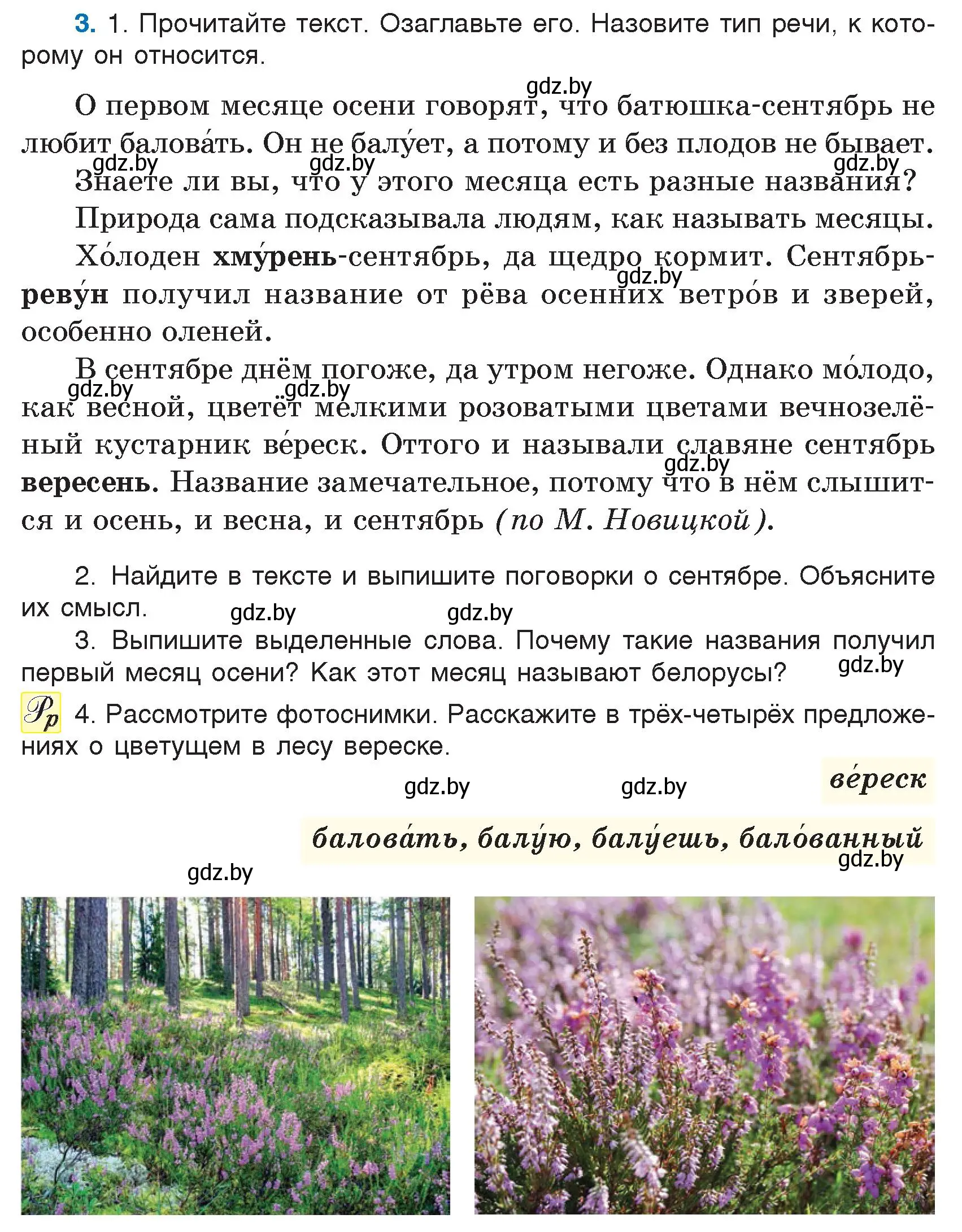 Условие номер 3 (страница 5) гдз по русскому языку 5 класс Мурина, Игнатович, учебник 1 часть