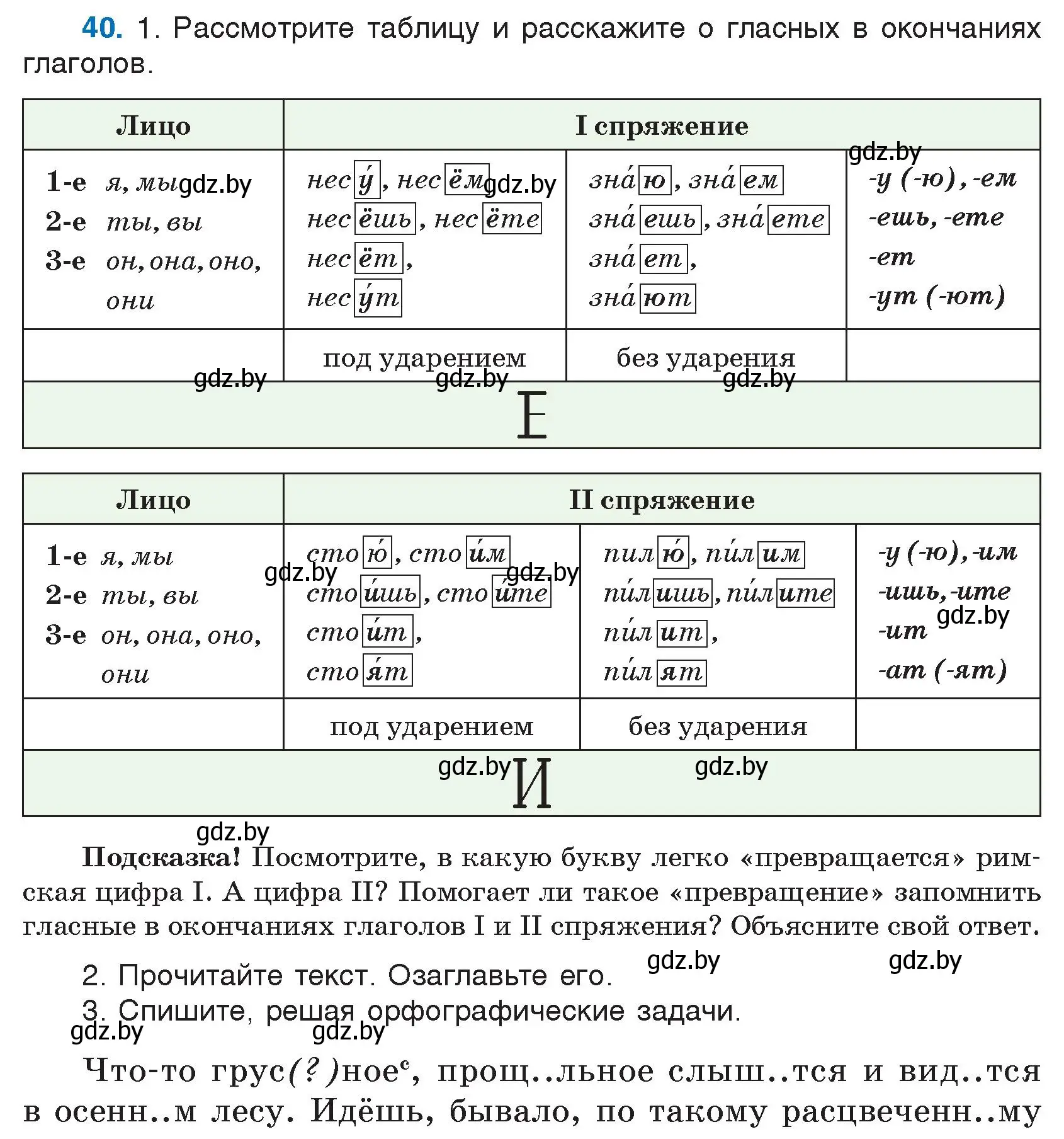 Условие номер 40 (страница 26) гдз по русскому языку 5 класс Мурина, Игнатович, учебник 1 часть