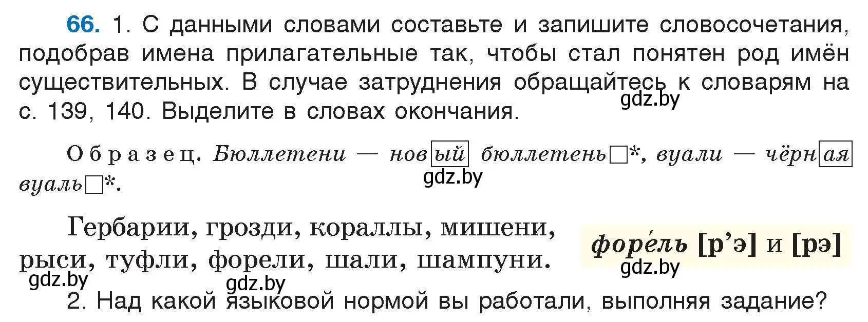 Условие номер 66 (страница 40) гдз по русскому языку 5 класс Мурина, Игнатович, учебник 1 часть