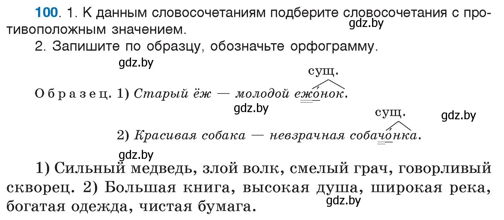 Условие номер 100 (страница 59) гдз по русскому языку 5 класс Мурина, Игнатович, учебник 2 часть