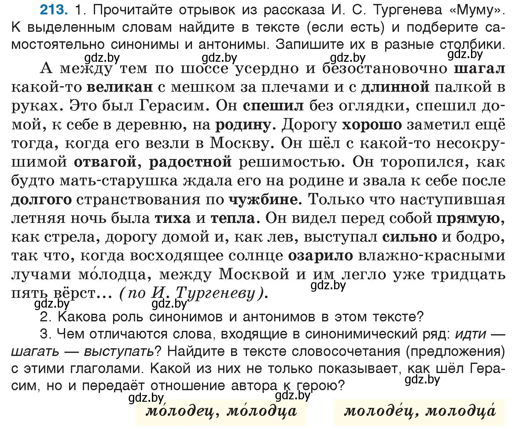 Условие номер 213 (страница 110) гдз по русскому языку 5 класс Мурина, Игнатович, учебник 2 часть