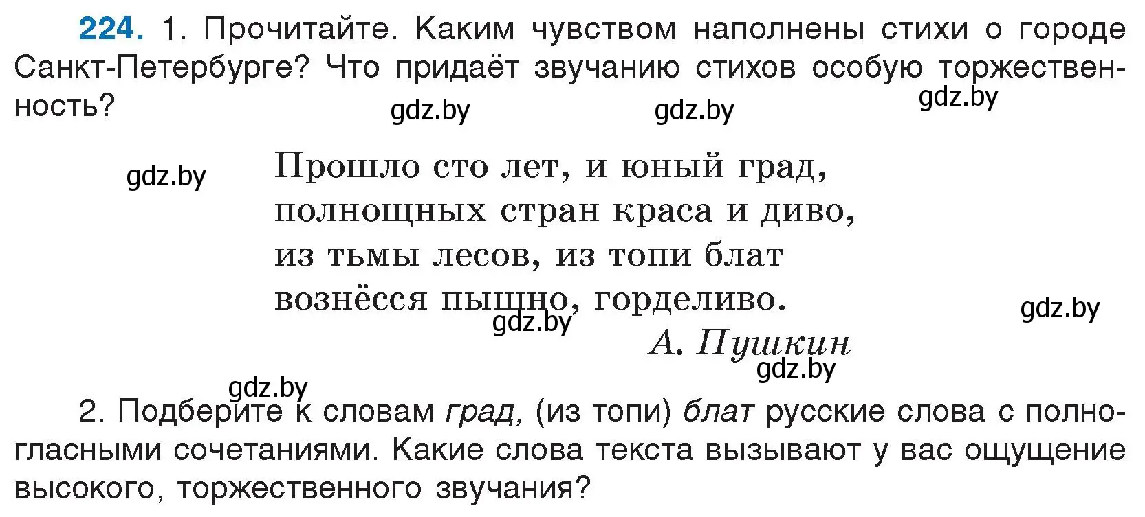 Условие номер 224 (страница 114) гдз по русскому языку 5 класс Мурина, Игнатович, учебник 2 часть