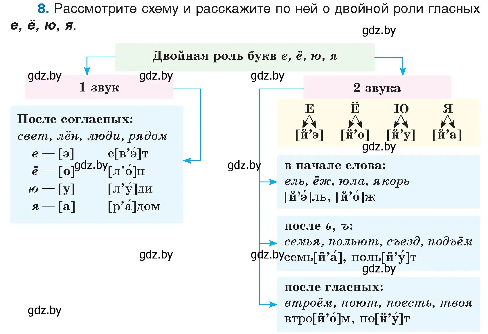 Условие номер 8 (страница 6) гдз по русскому языку 5 класс Мурина, Игнатович, учебник 2 часть