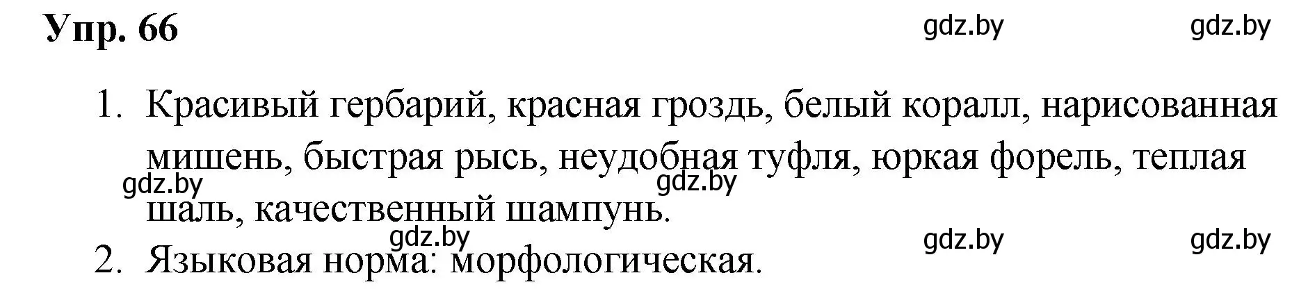 Решение номер 66 (страница 40) гдз по русскому языку 5 класс Мурина, Игнатович, учебник 1 часть