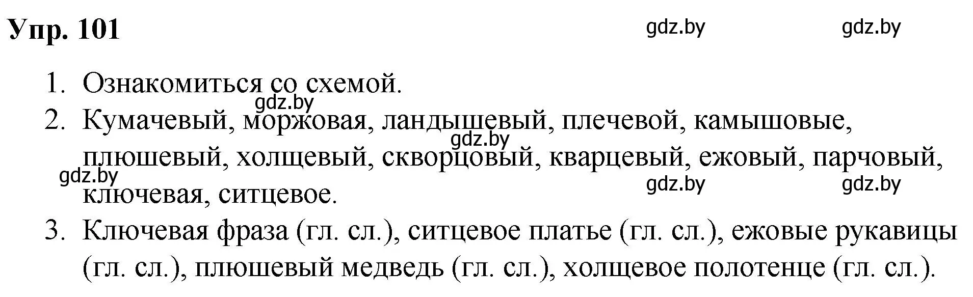 Решение номер 101 (страница 59) гдз по русскому языку 5 класс Мурина, Игнатович, учебник 2 часть