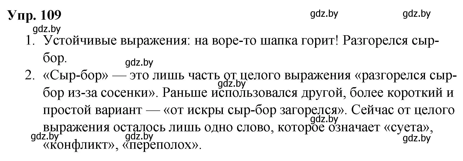 Решение номер 109 (страница 63) гдз по русскому языку 5 класс Мурина, Игнатович, учебник 2 часть