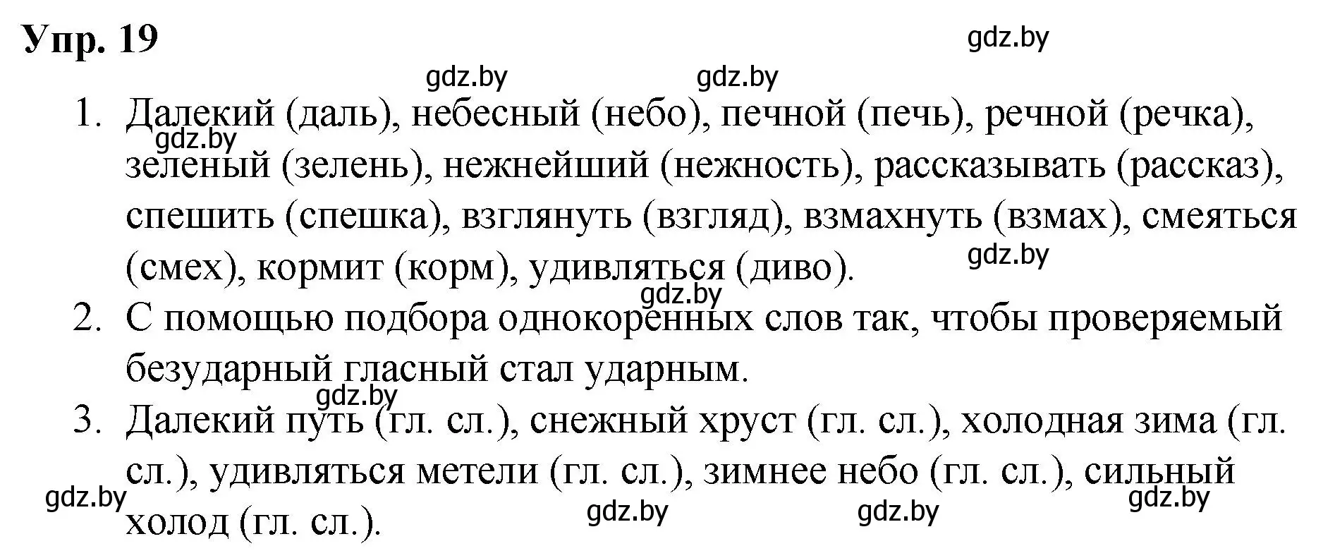 Решение номер 19 (страница 14) гдз по русскому языку 5 класс Мурина, Игнатович, учебник 2 часть