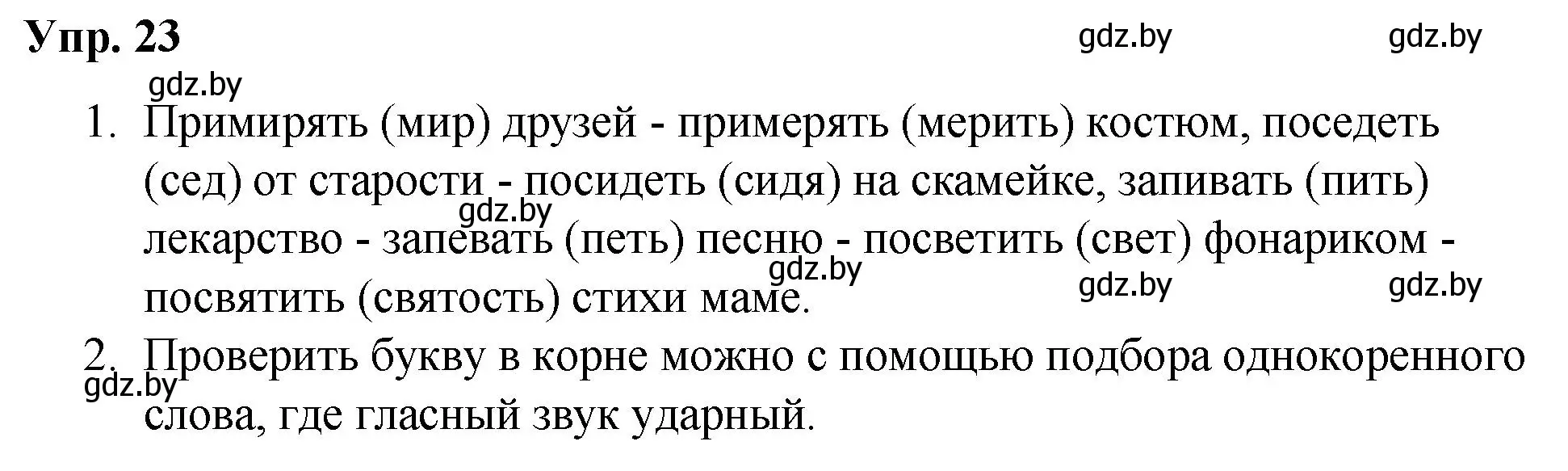 Решение номер 23 (страница 15) гдз по русскому языку 5 класс Мурина, Игнатович, учебник 2 часть