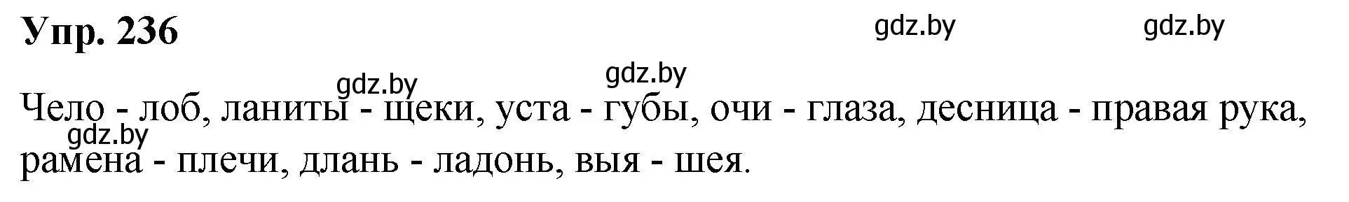 Решение номер 236 (страница 119) гдз по русскому языку 5 класс Мурина, Игнатович, учебник 2 часть