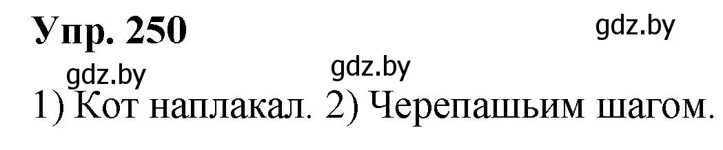 Решение номер 250 (страница 125) гдз по русскому языку 5 класс Мурина, Игнатович, учебник 2 часть