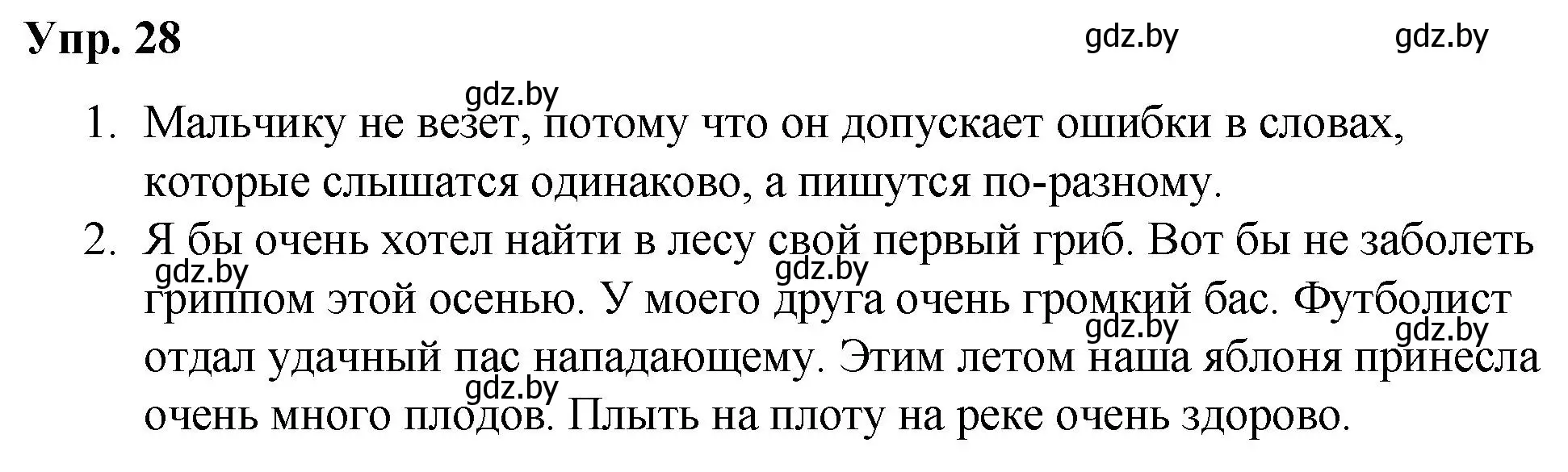 Решение номер 28 (страница 19) гдз по русскому языку 5 класс Мурина, Игнатович, учебник 2 часть