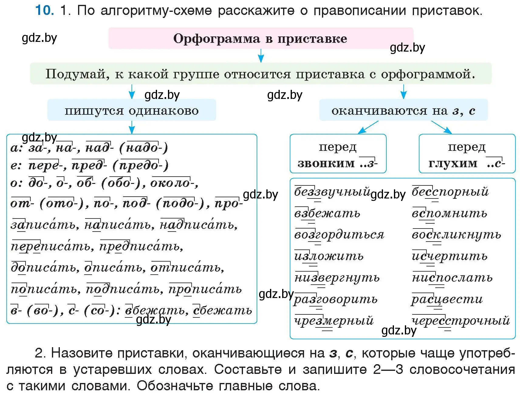 Условие номер 10 (страница 8) гдз по русскому языку 6 класс Мурина, Игнатович, учебник