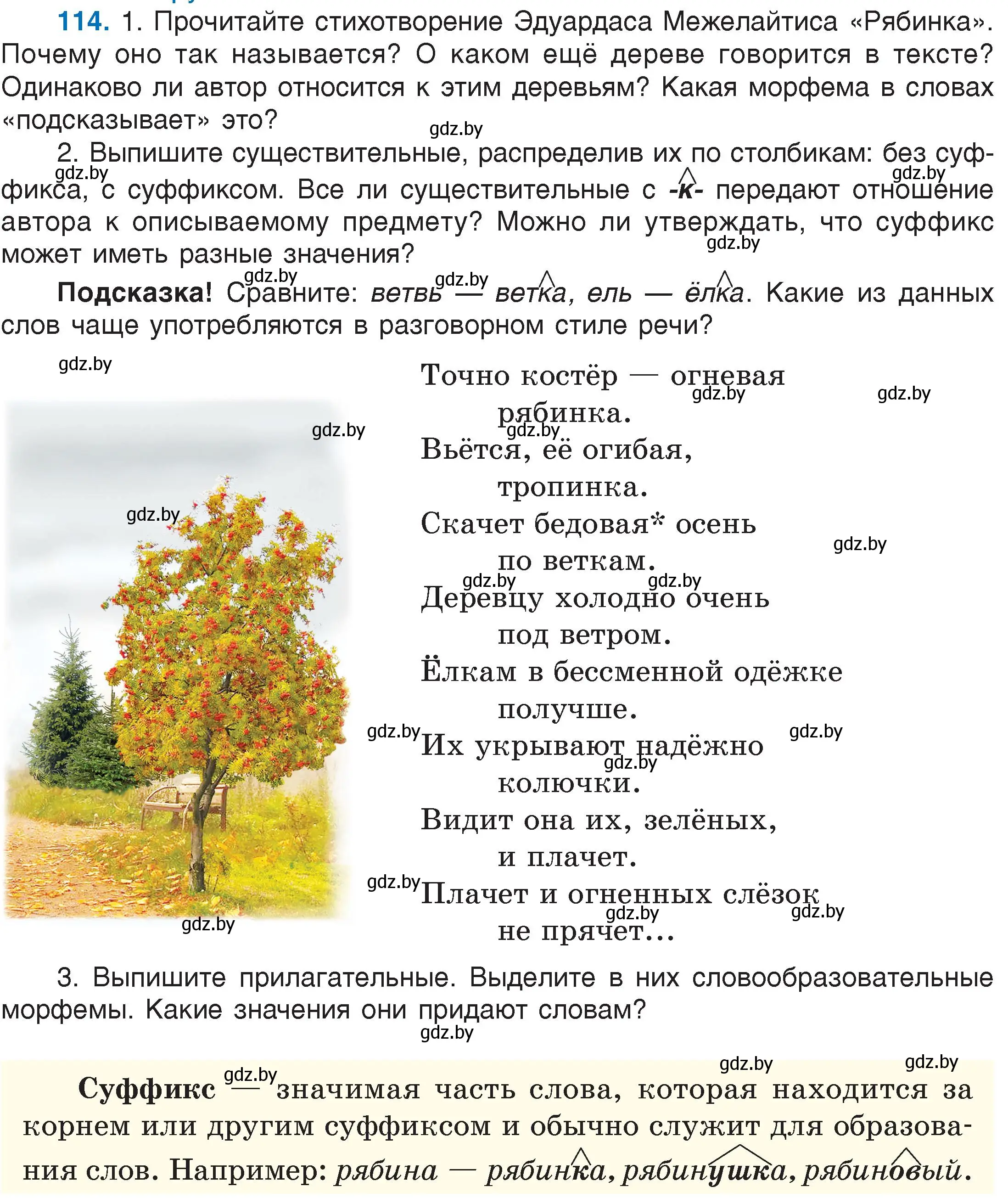 Условие номер 114 (страница 58) гдз по русскому языку 6 класс Мурина, Игнатович, учебник