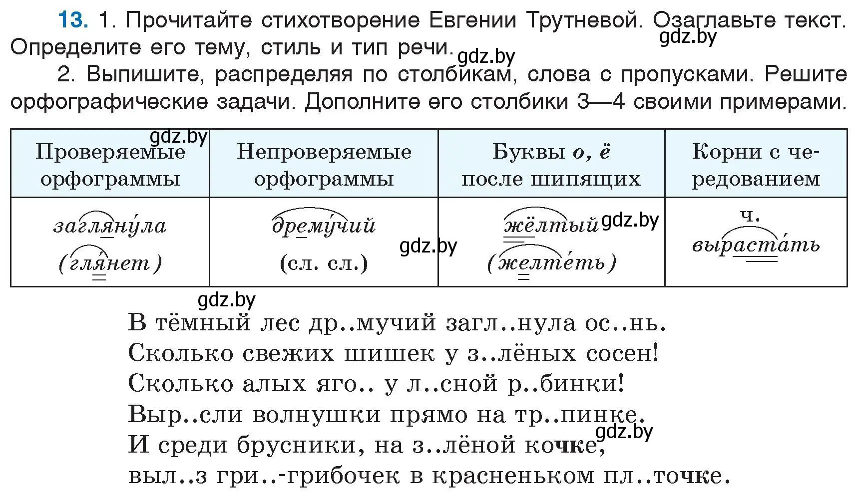 Условие номер 13 (страница 10) гдз по русскому языку 6 класс Мурина, Игнатович, учебник