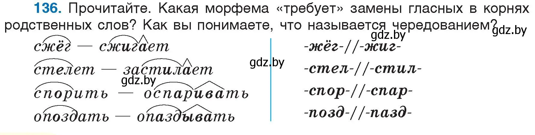 Условие номер 136 (страница 66) гдз по русскому языку 6 класс Мурина, Игнатович, учебник