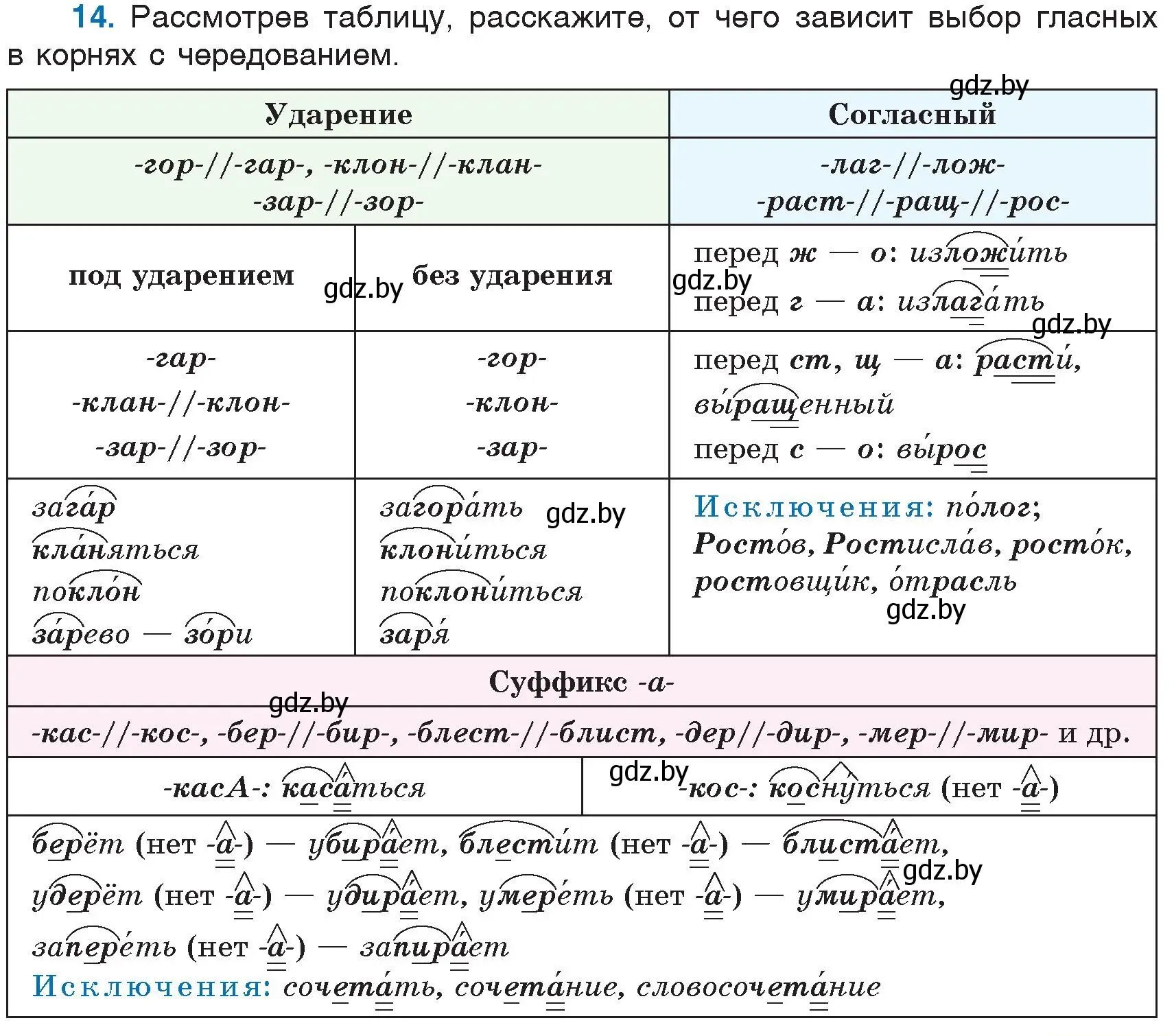 Условие номер 14 (страница 11) гдз по русскому языку 6 класс Мурина, Игнатович, учебник