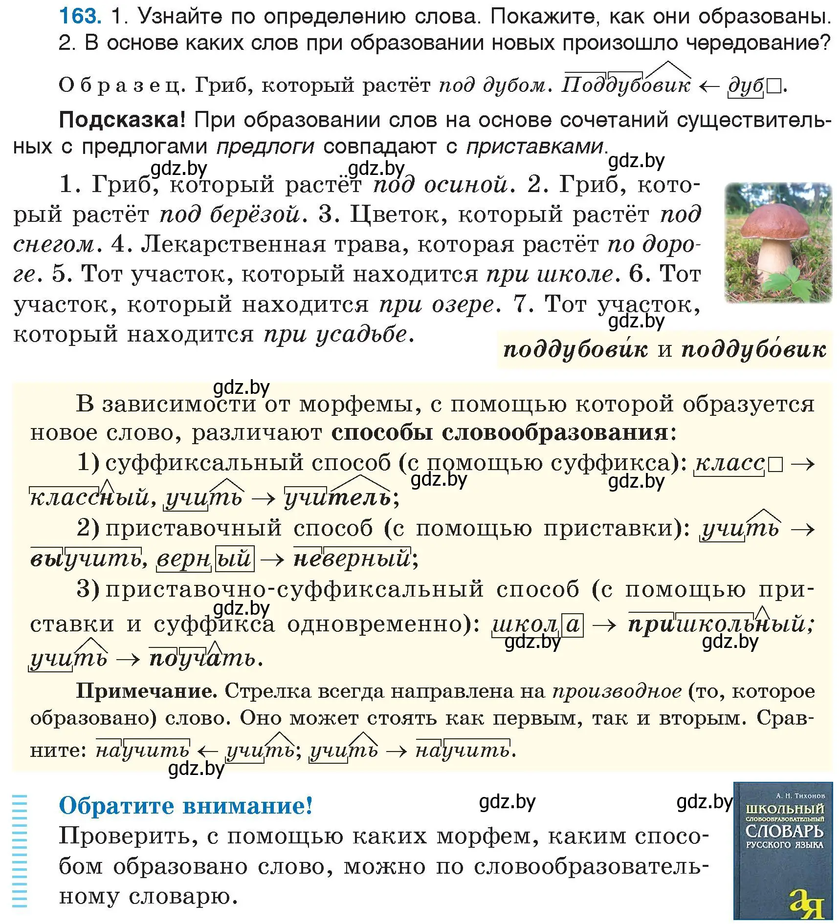 Условие номер 163 (страница 77) гдз по русскому языку 6 класс Мурина, Игнатович, учебник