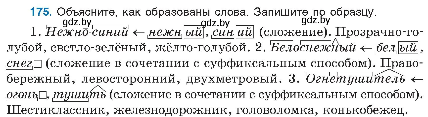 Условие номер 175 (страница 81) гдз по русскому языку 6 класс Мурина, Игнатович, учебник