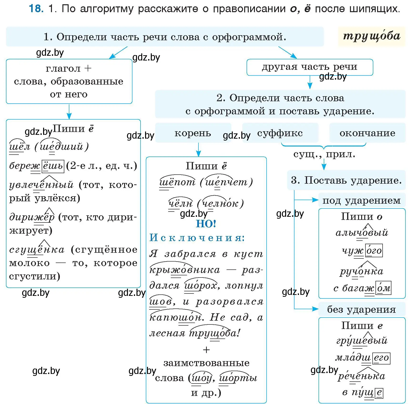 Условие номер 18 (страница 13) гдз по русскому языку 6 класс Мурина, Игнатович, учебник