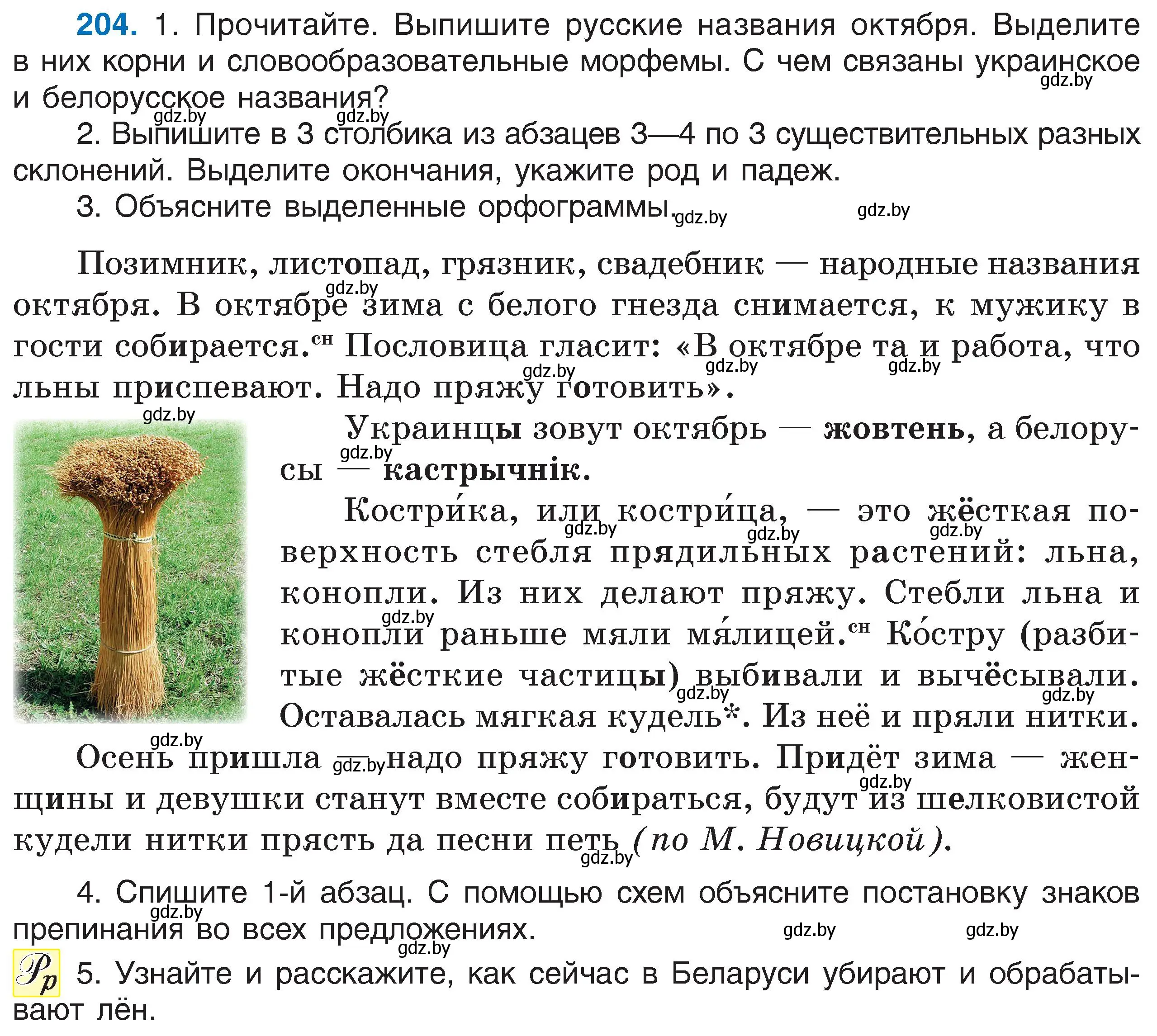 Условие номер 204 (страница 98) гдз по русскому языку 6 класс Мурина, Игнатович, учебник