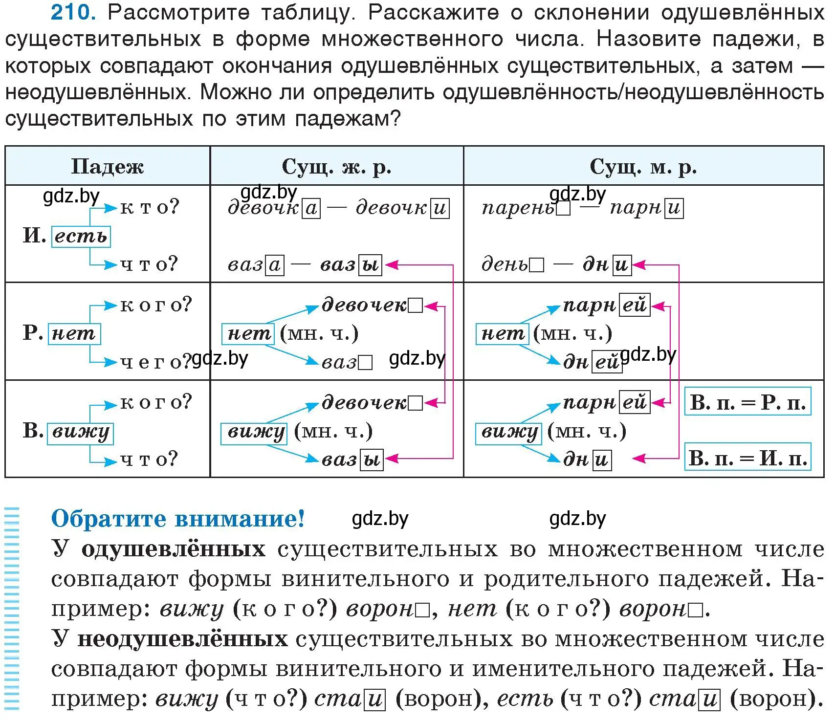 Условие номер 210 (страница 101) гдз по русскому языку 6 класс Мурина, Игнатович, учебник