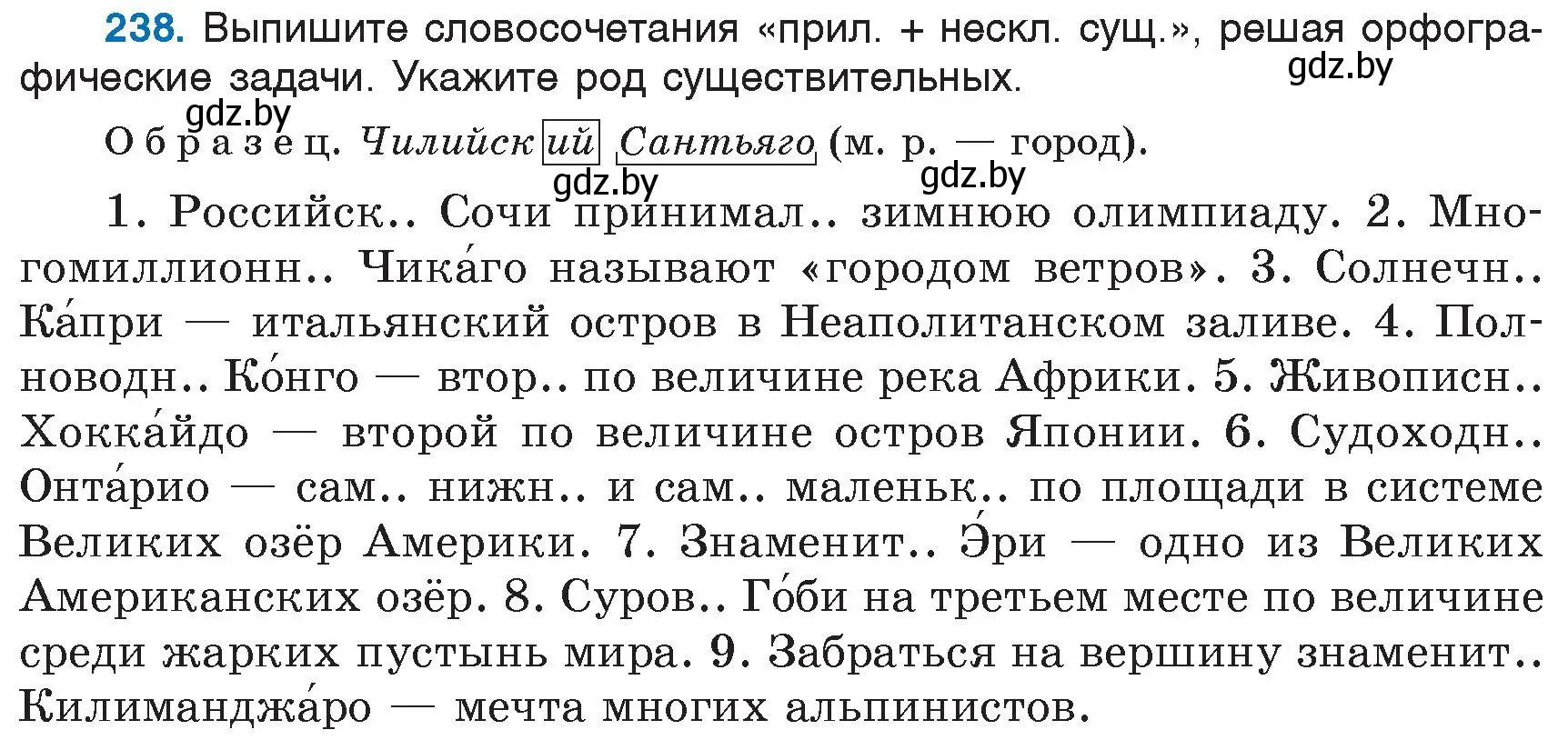 Условие номер 238 (страница 114) гдз по русскому языку 6 класс Мурина, Игнатович, учебник