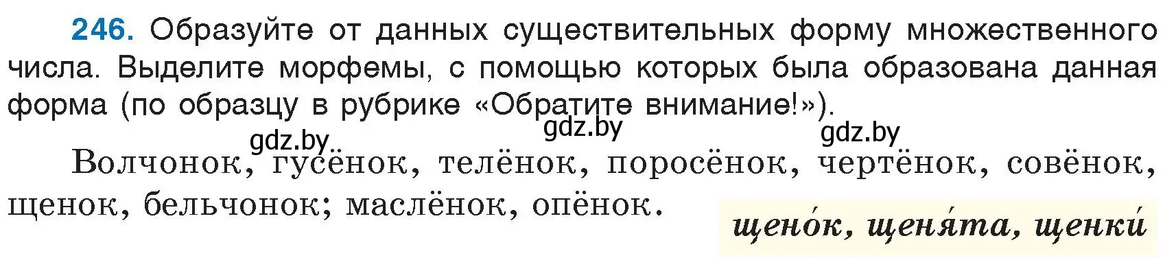 Условие номер 246 (страница 117) гдз по русскому языку 6 класс Мурина, Игнатович, учебник