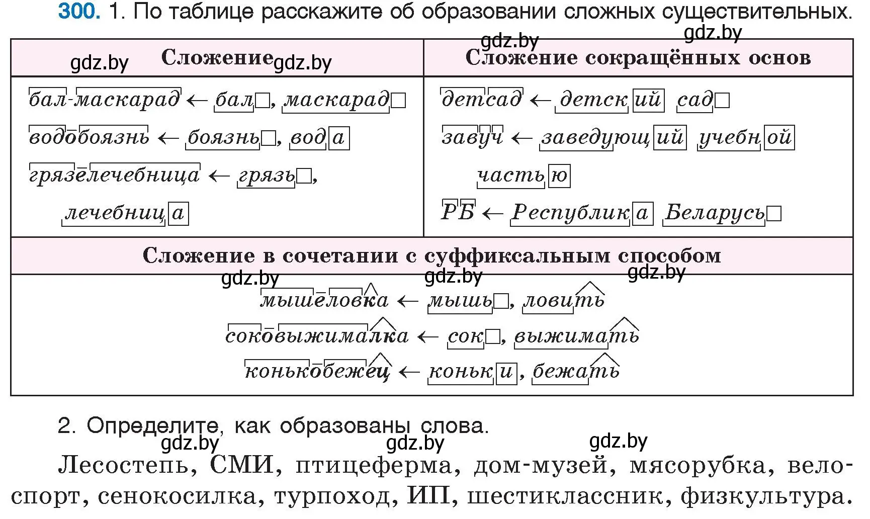 Условие номер 300 (страница 142) гдз по русскому языку 6 класс Мурина, Игнатович, учебник